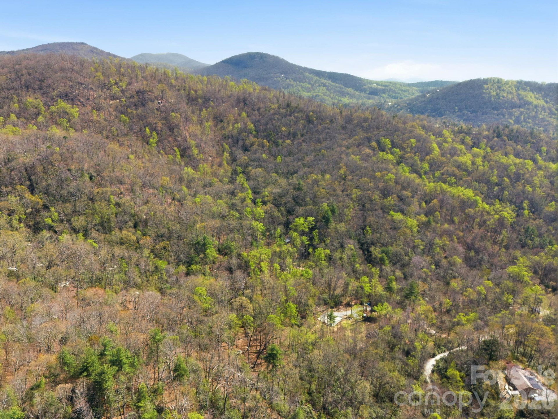 00 Lazy Bear Trail #35 & 36 - Photo 3