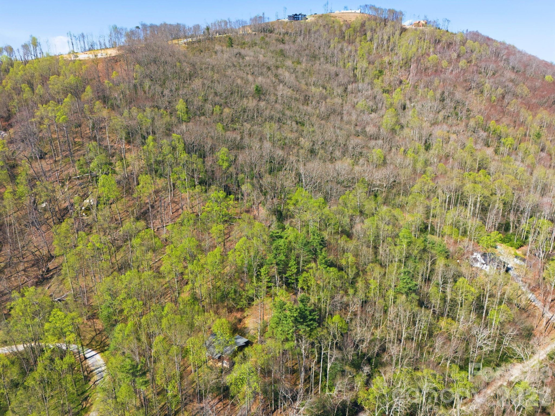 00 Lazy Bear Trail #35 & 36 - Photo 4