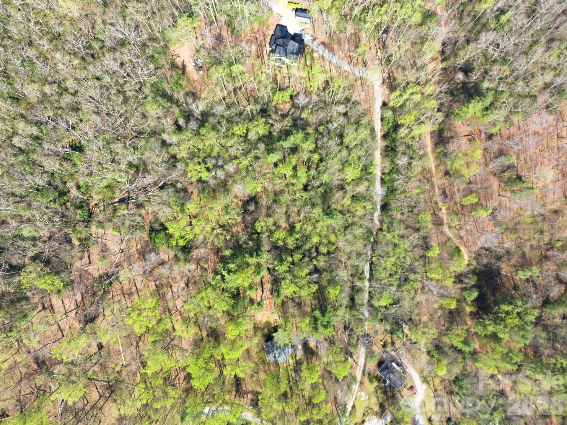 00 Lazy Bear Trail #35 & 36 - Photo 6