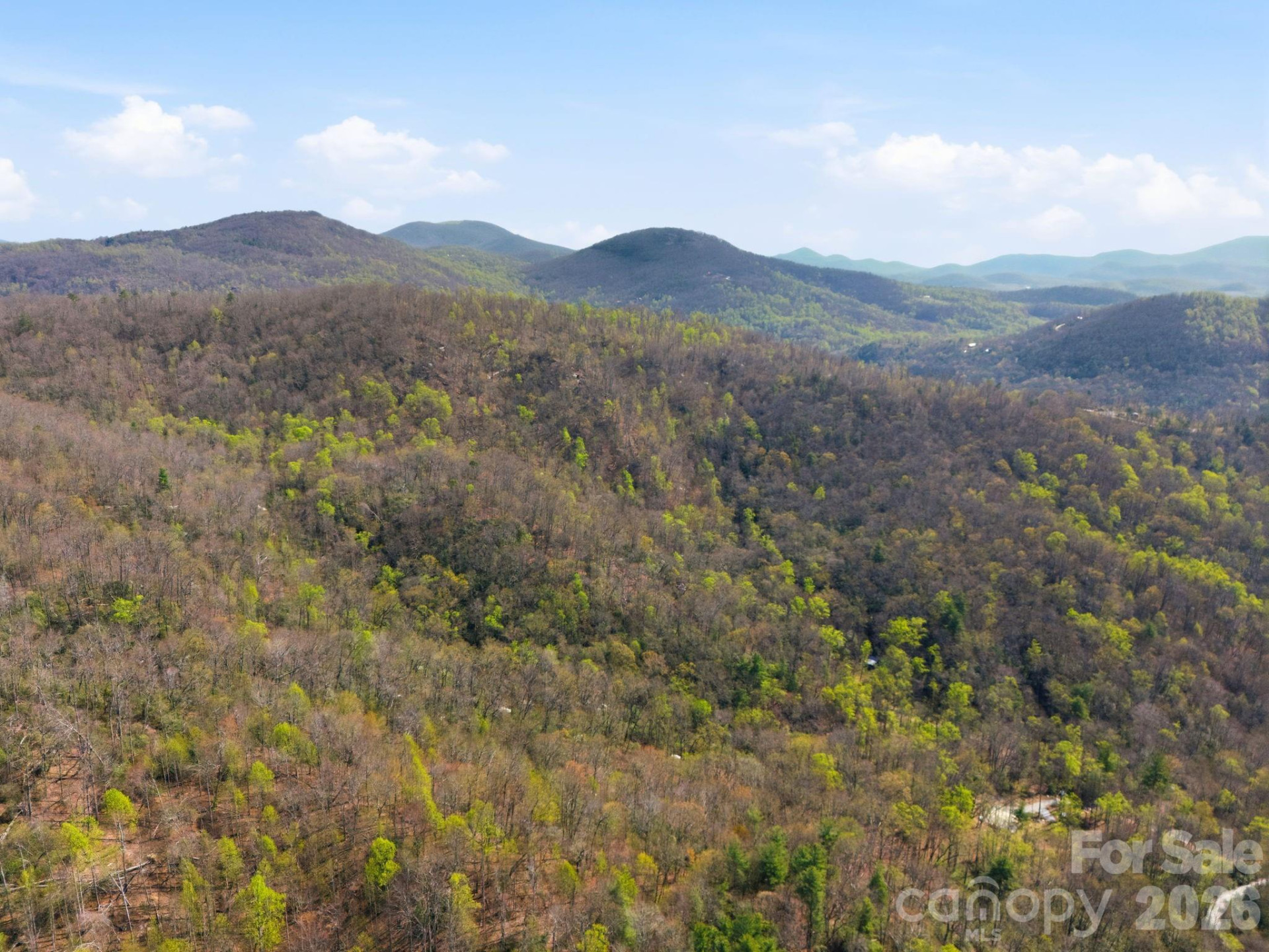 00 Lazy Bear Trail #35 & 36 - Photo 7