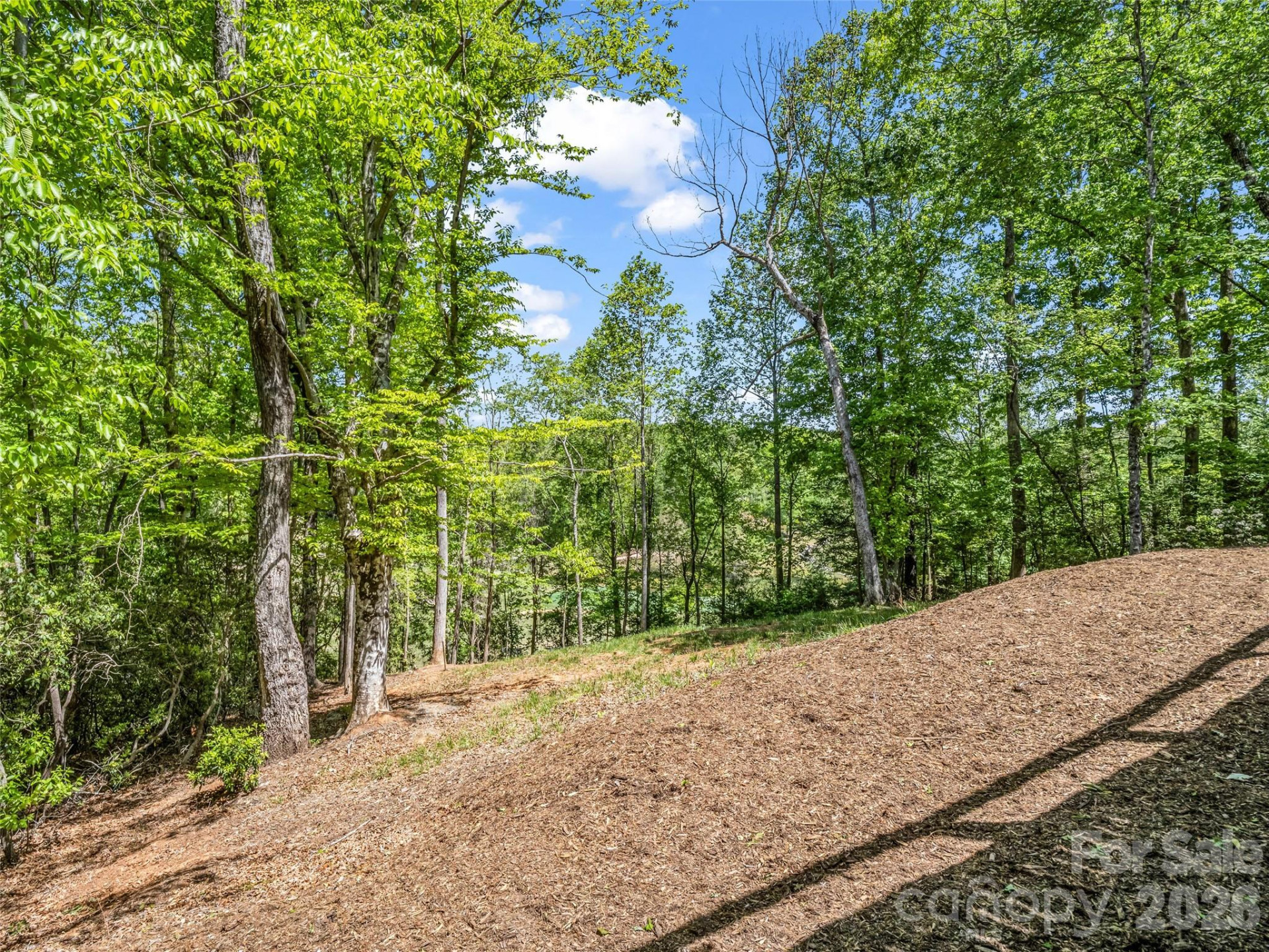 194 Summer Morning Court - Photo 38