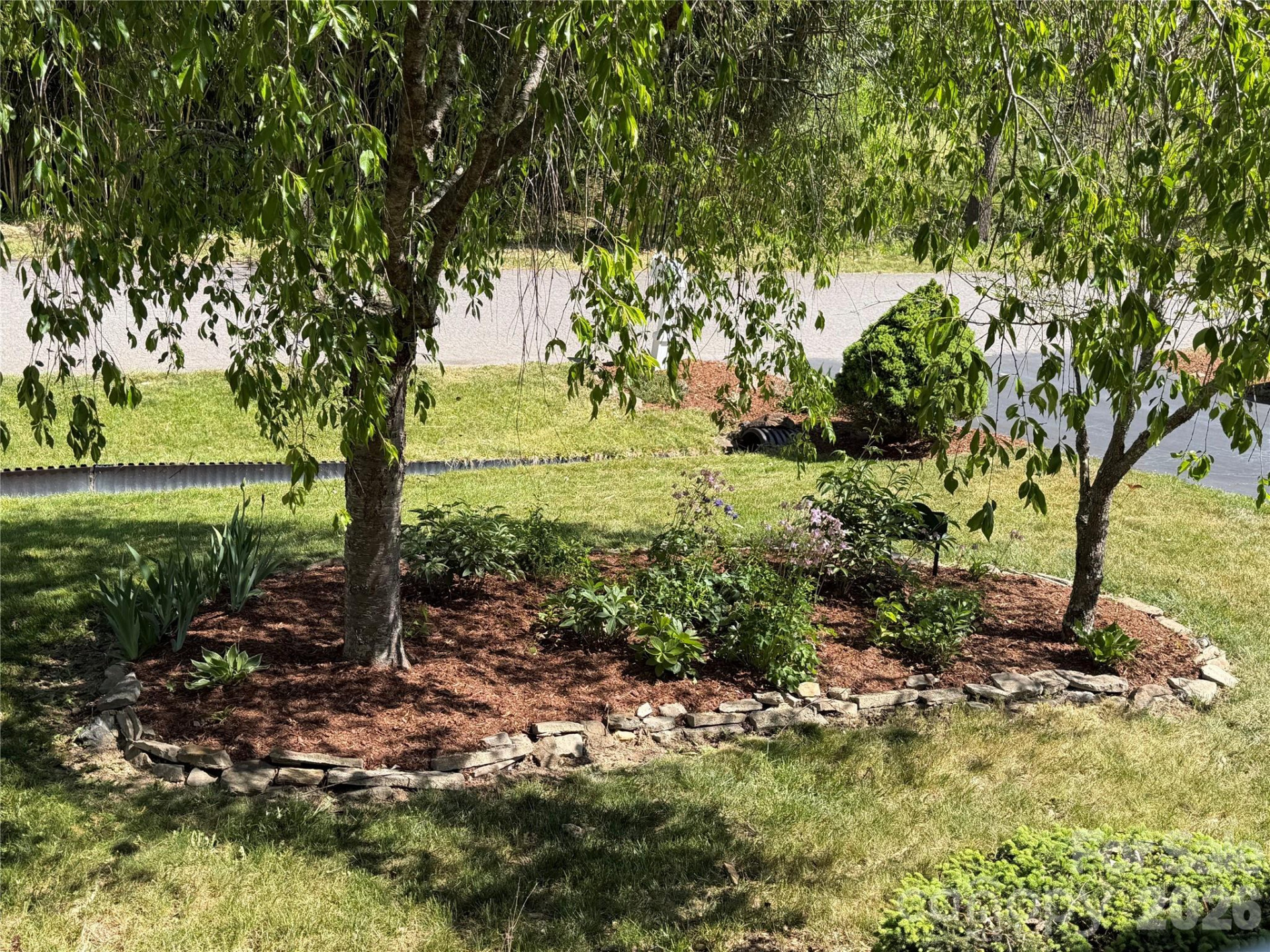 26 Macdougall Lane - Photo 5