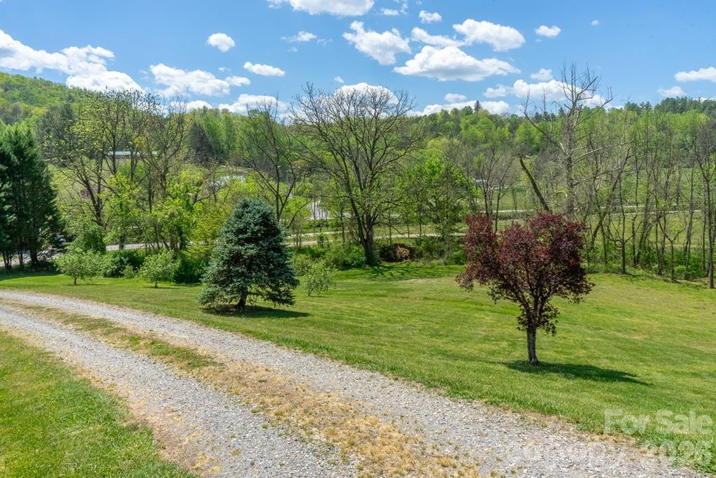 71 Bullfrog Cove Road - Photo 3