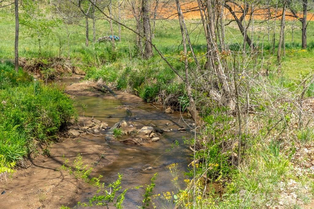 71 Bullfrog Cove Road - Photo 4