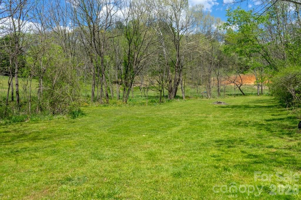 71 Bullfrog Cove Road - Photo 41