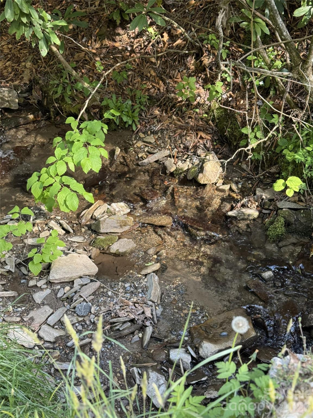 000 Unahala Creek Drive