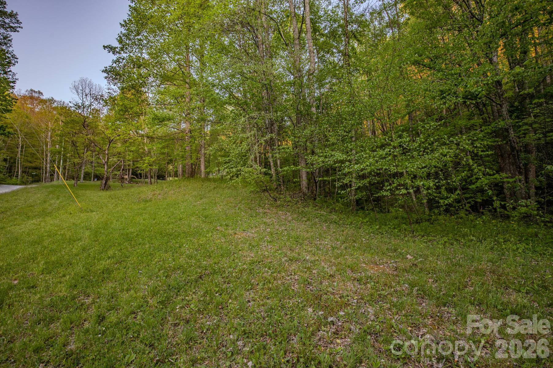 000 Unahala Creek Drive - Photo 16