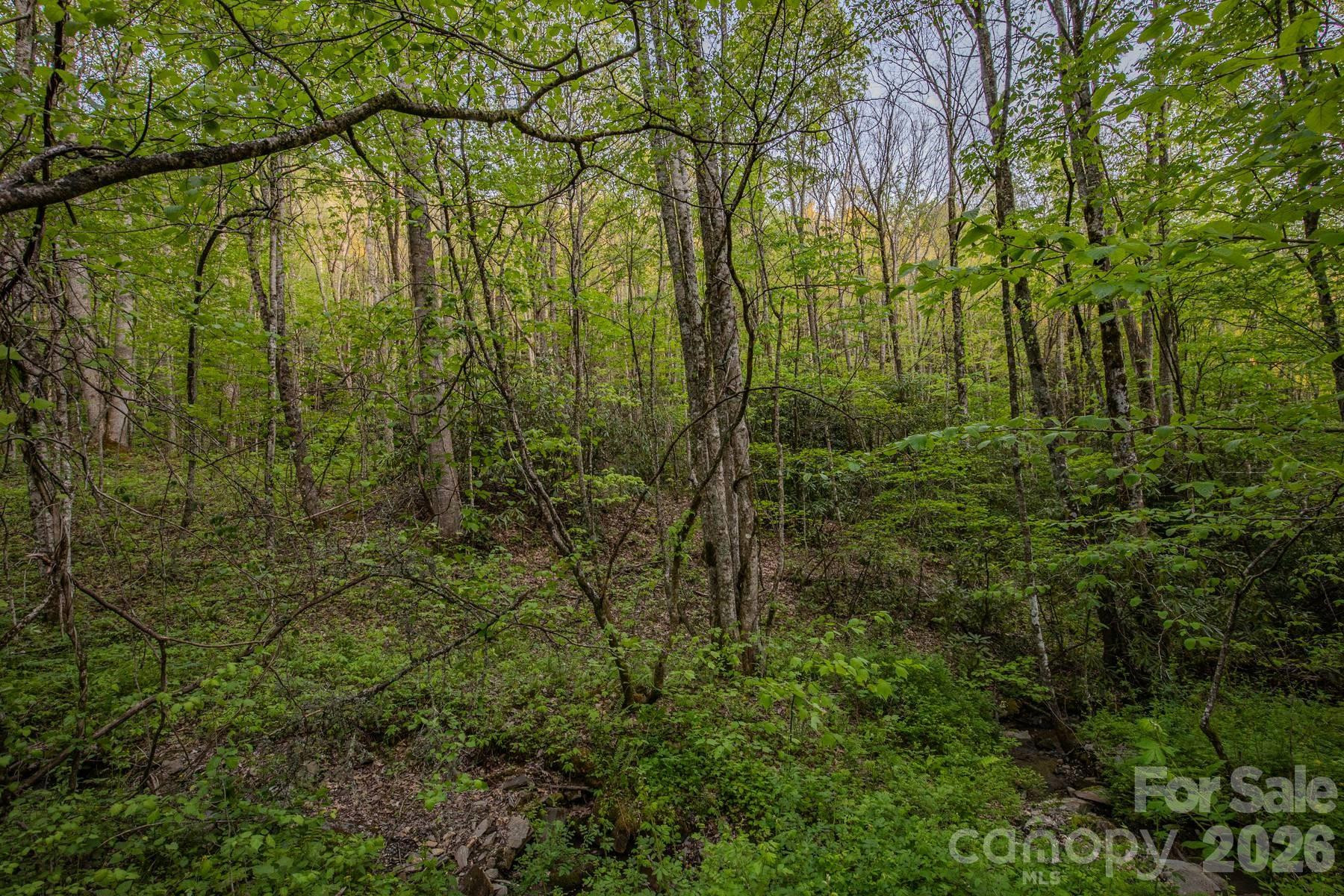 000 Unahala Creek Drive - Photo 17