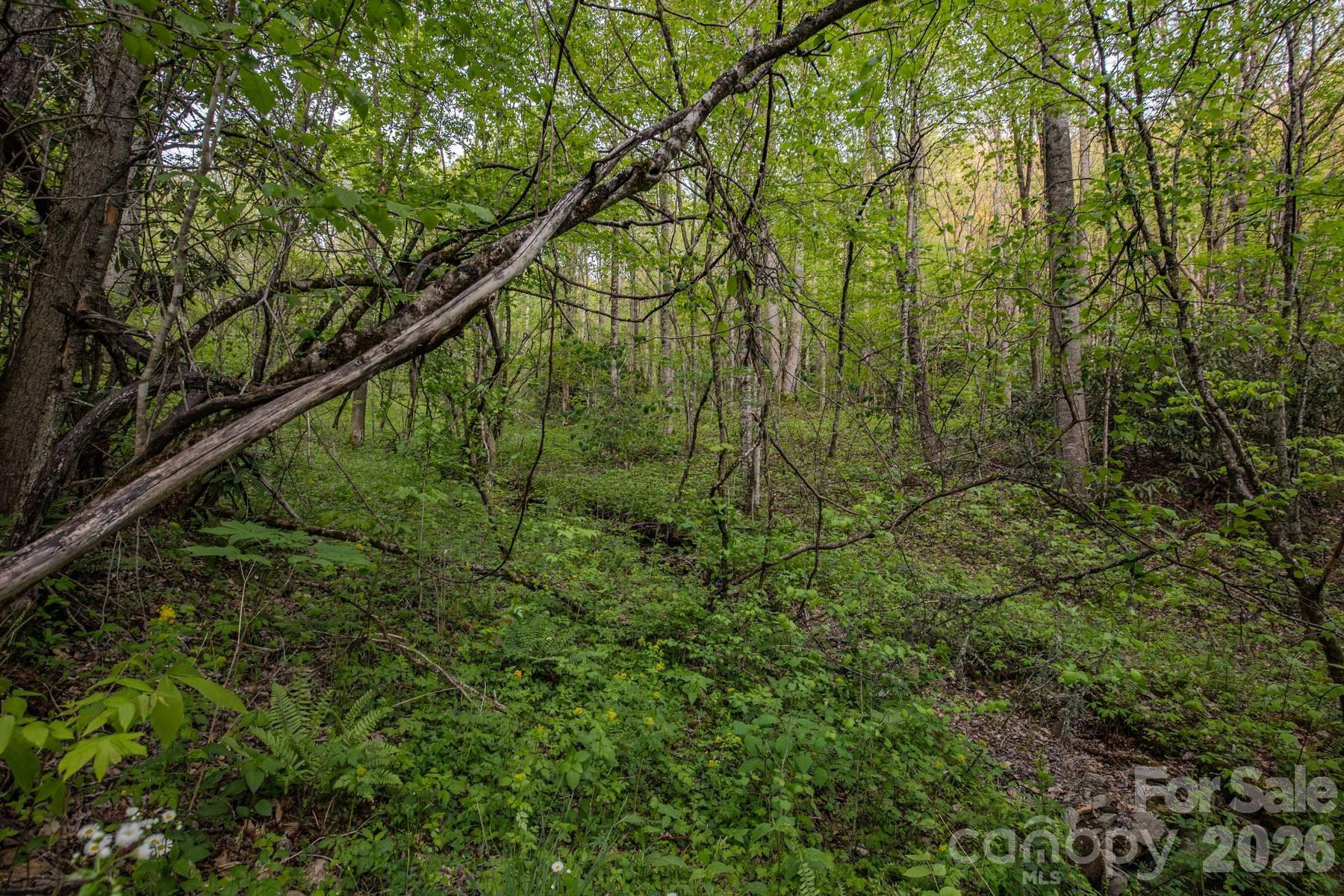000 Unahala Creek Drive - Photo 18