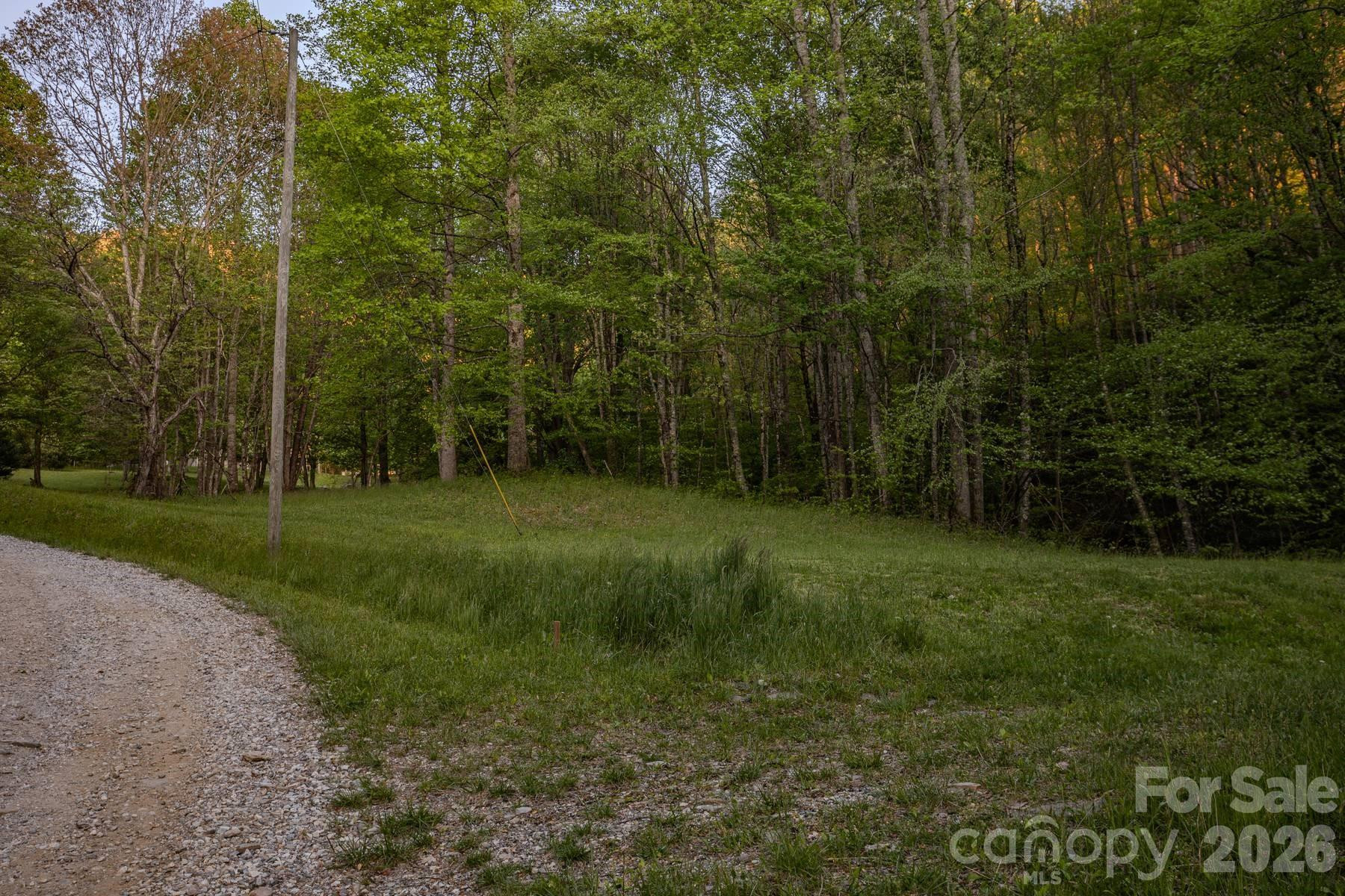 000 Unahala Creek Drive - Photo 10