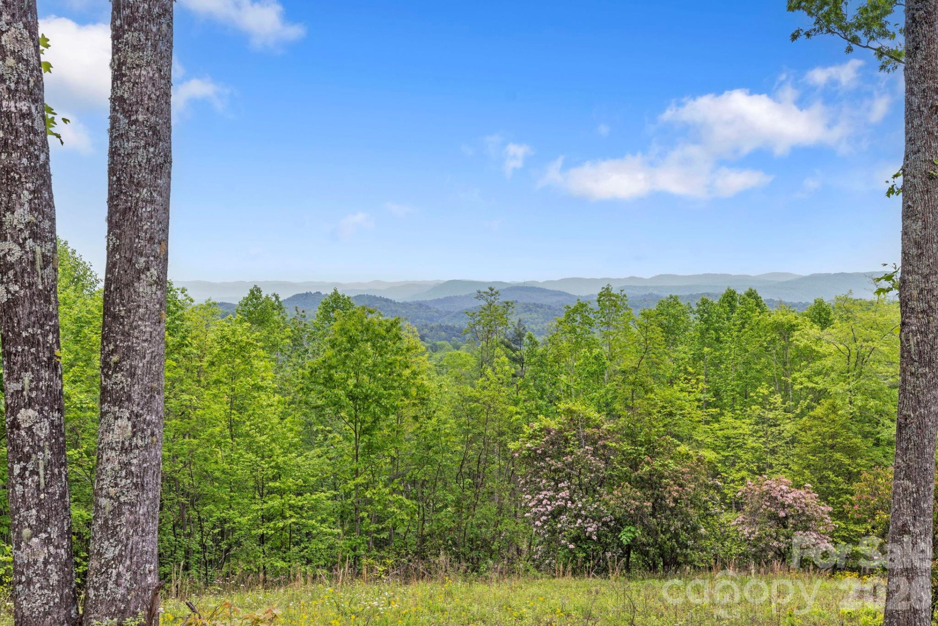 1325 Golden Road - Photo 2