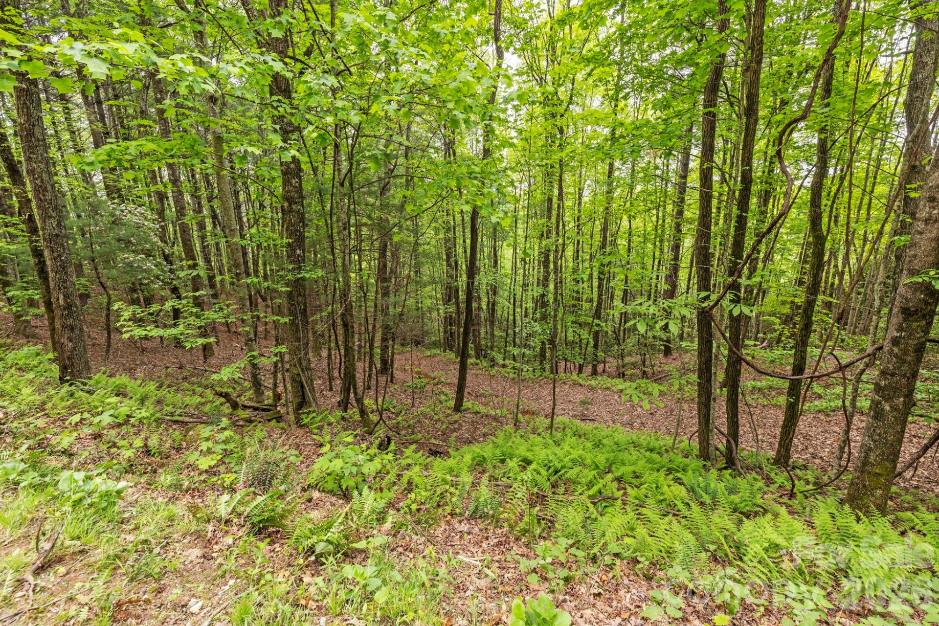 1325 Golden Road - Photo 11