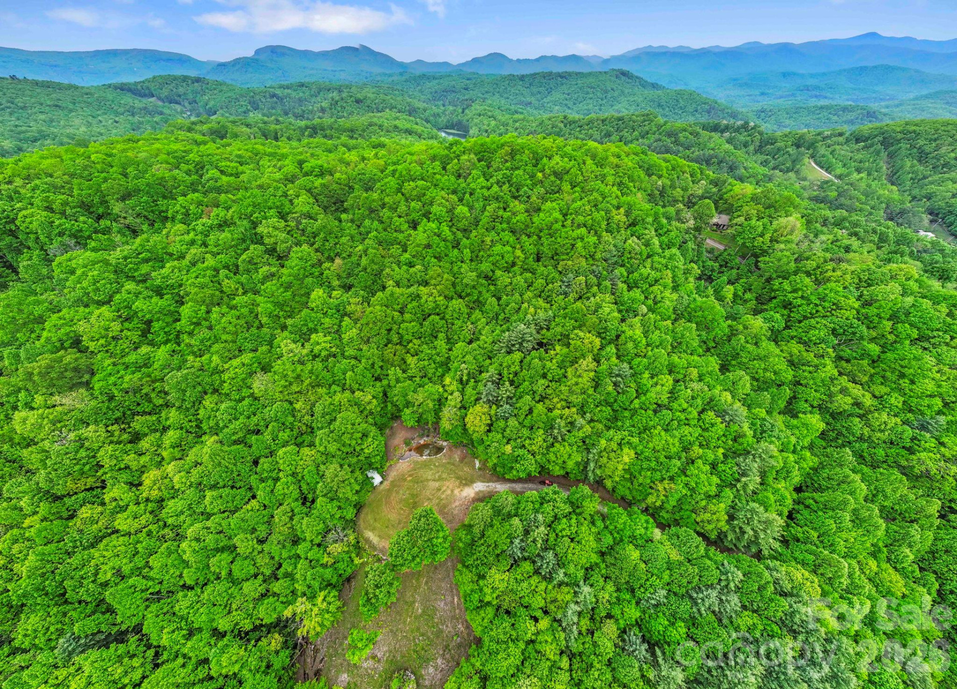 1325 Golden Road - Photo 13