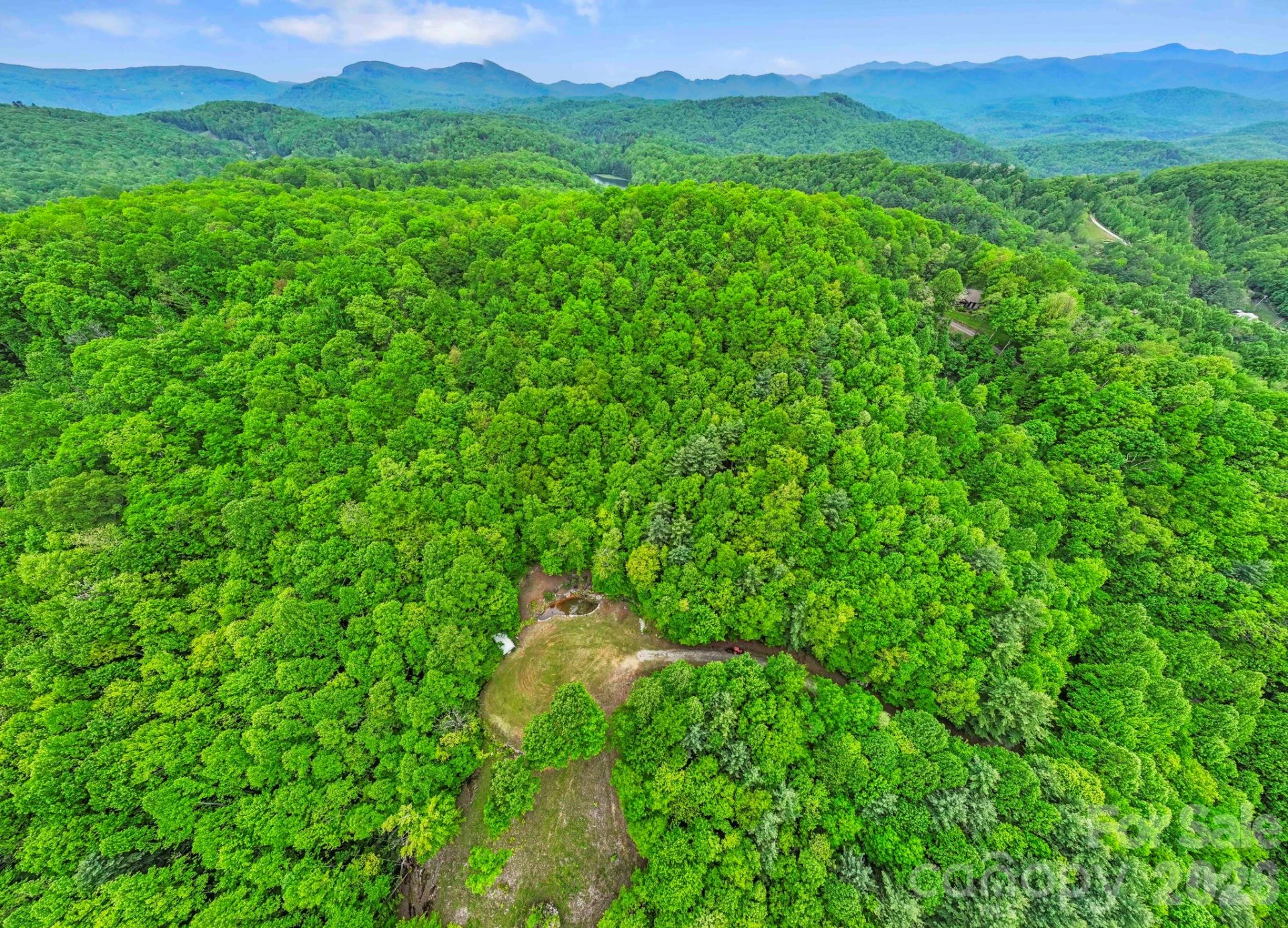 1325 Golden Road - Photo 13