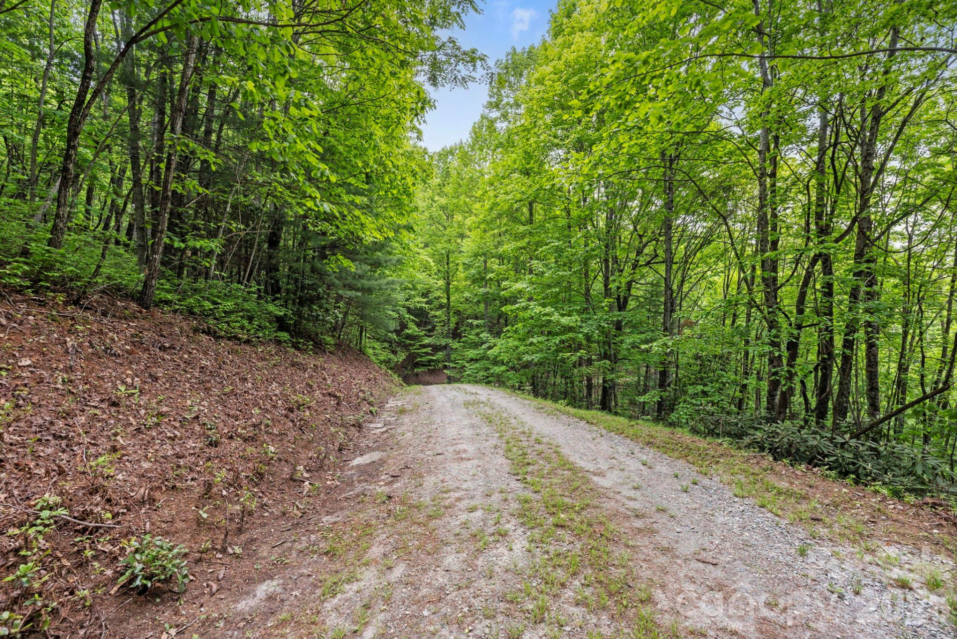 1325 Golden Road - Photo 14