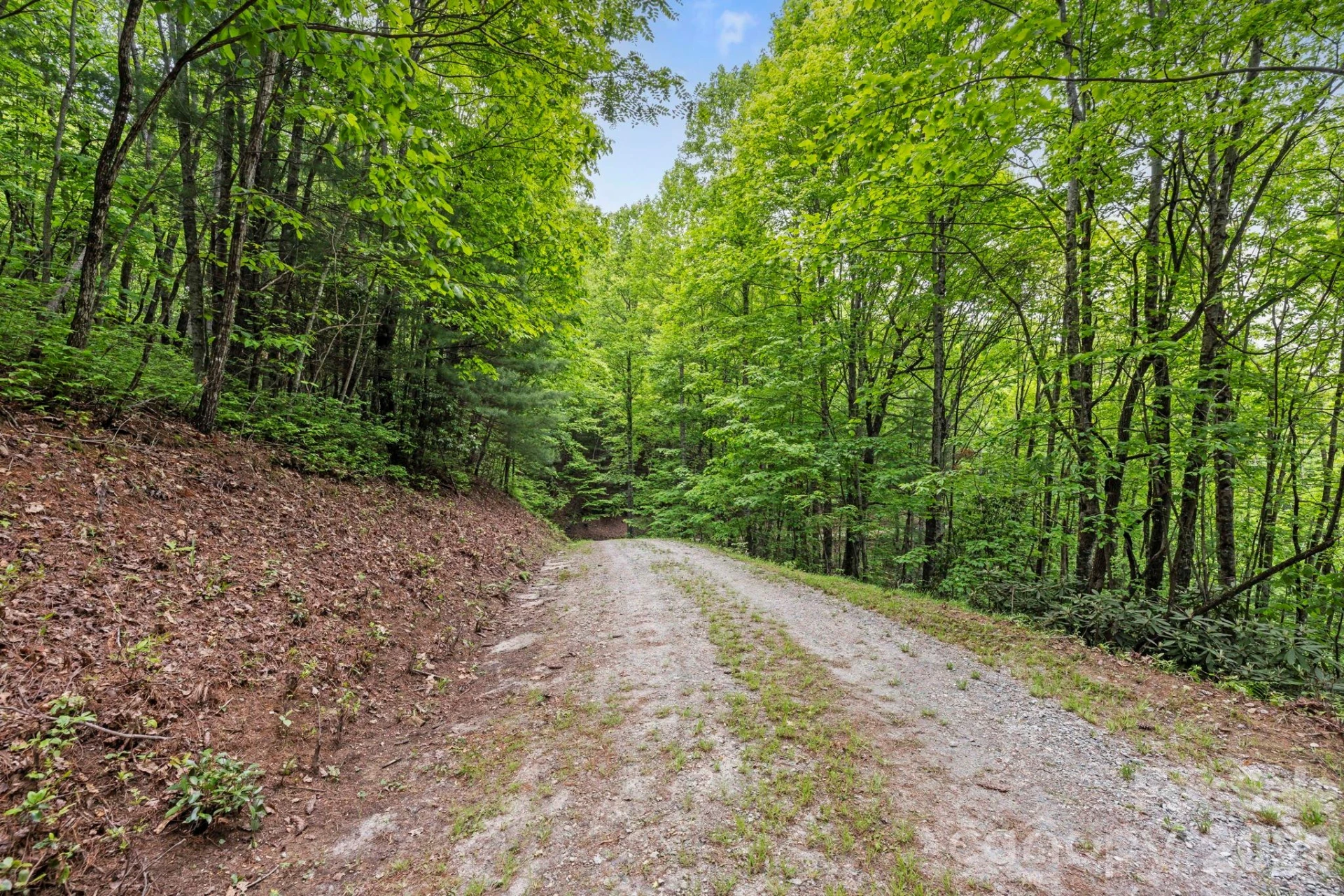 1325 Golden Road - Photo 14