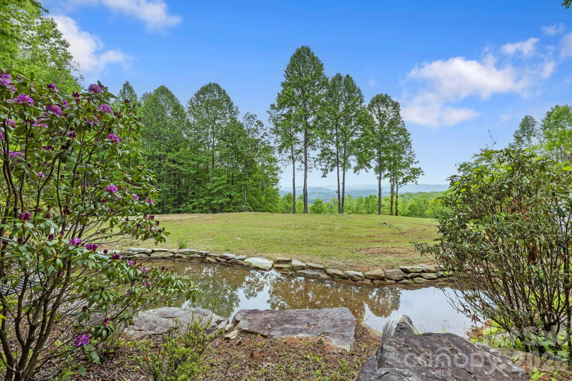 1325 Golden Road - Photo 3