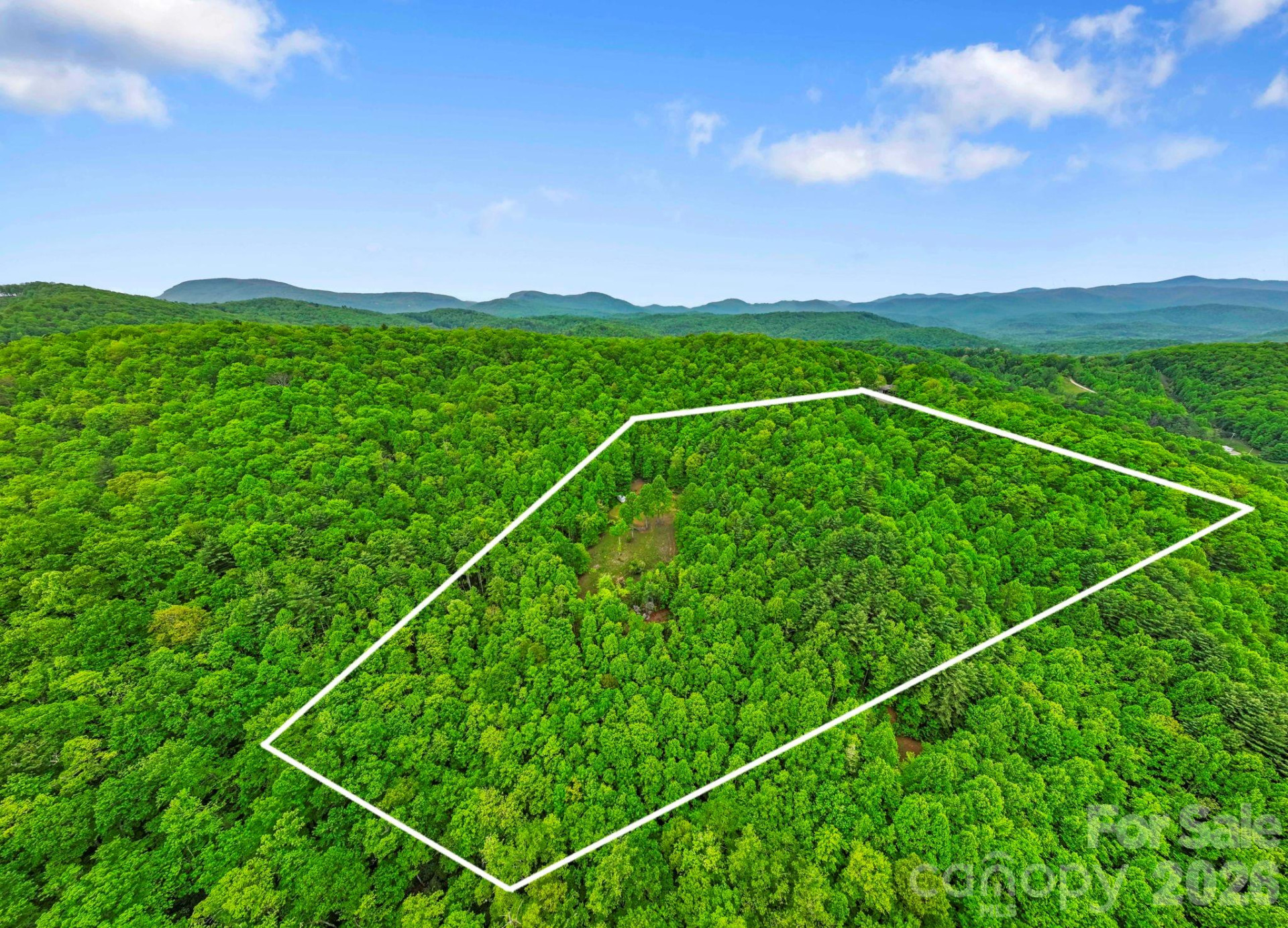 1325 Golden Road - Photo 4