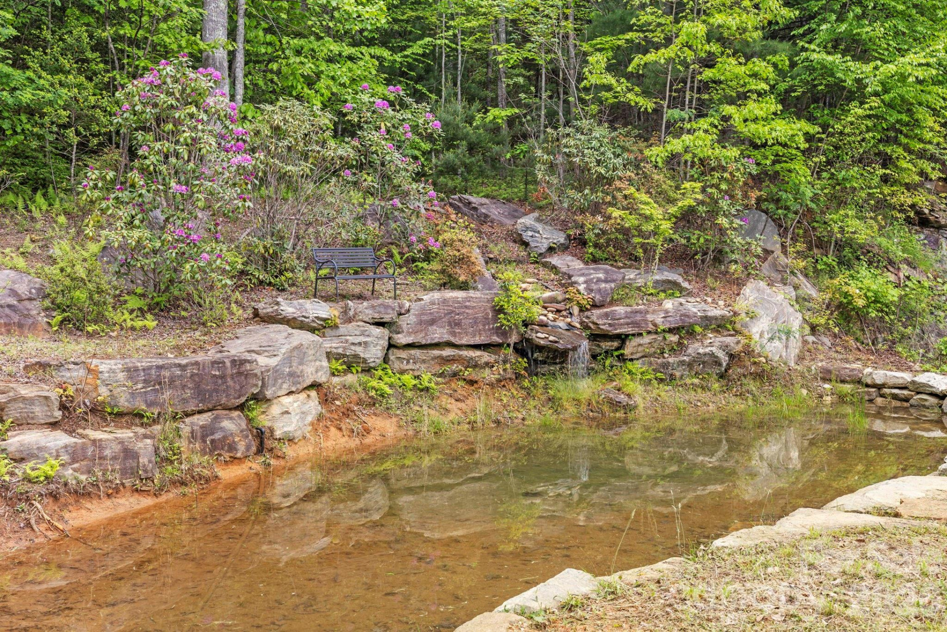 1325 Golden Road - Photo 9