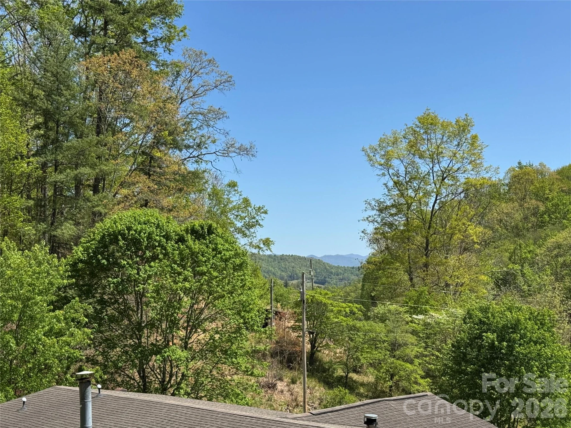 942 Fisher Branch Road - Photo 28