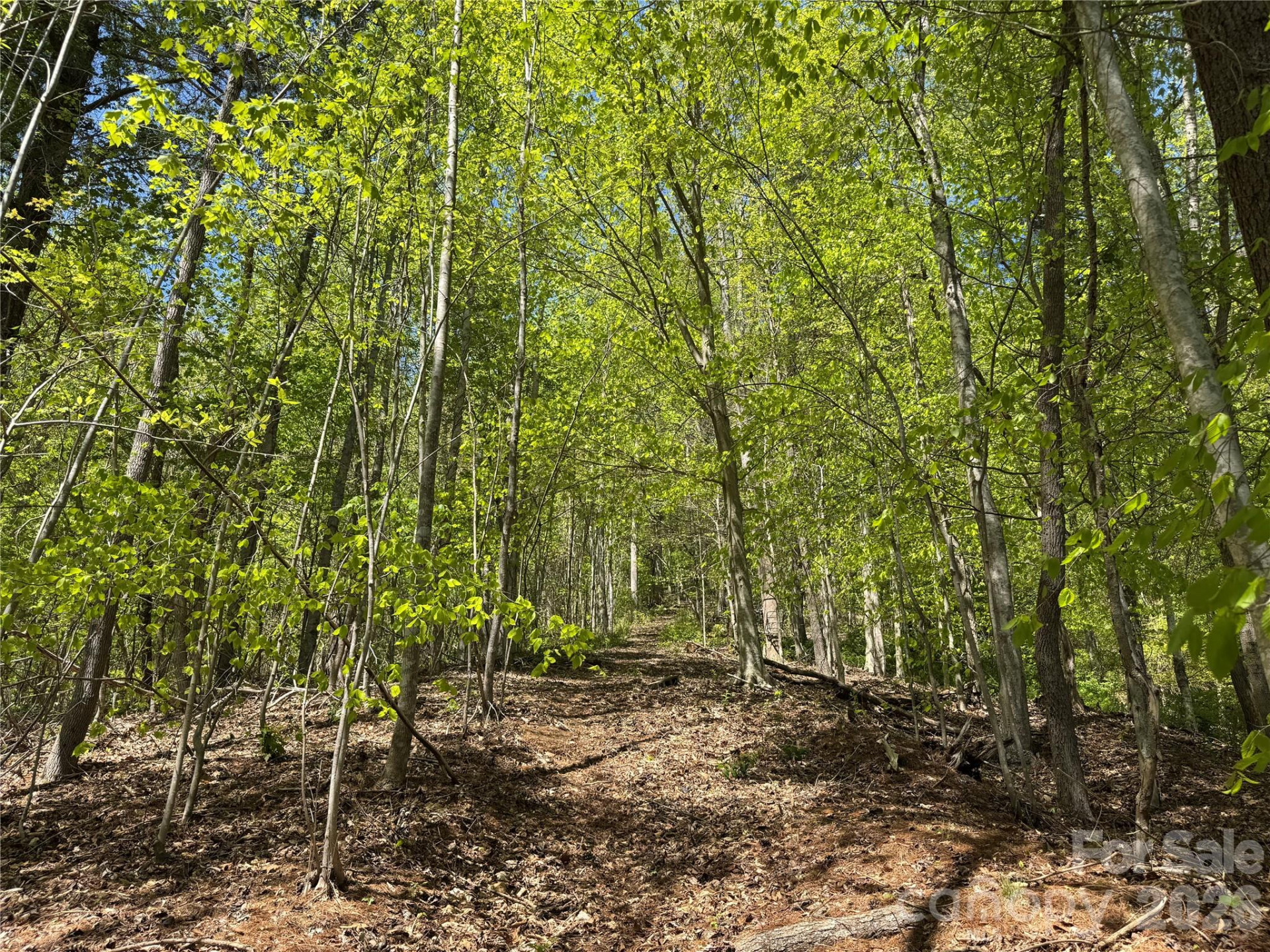 942 Fisher Branch Road - Photo 28