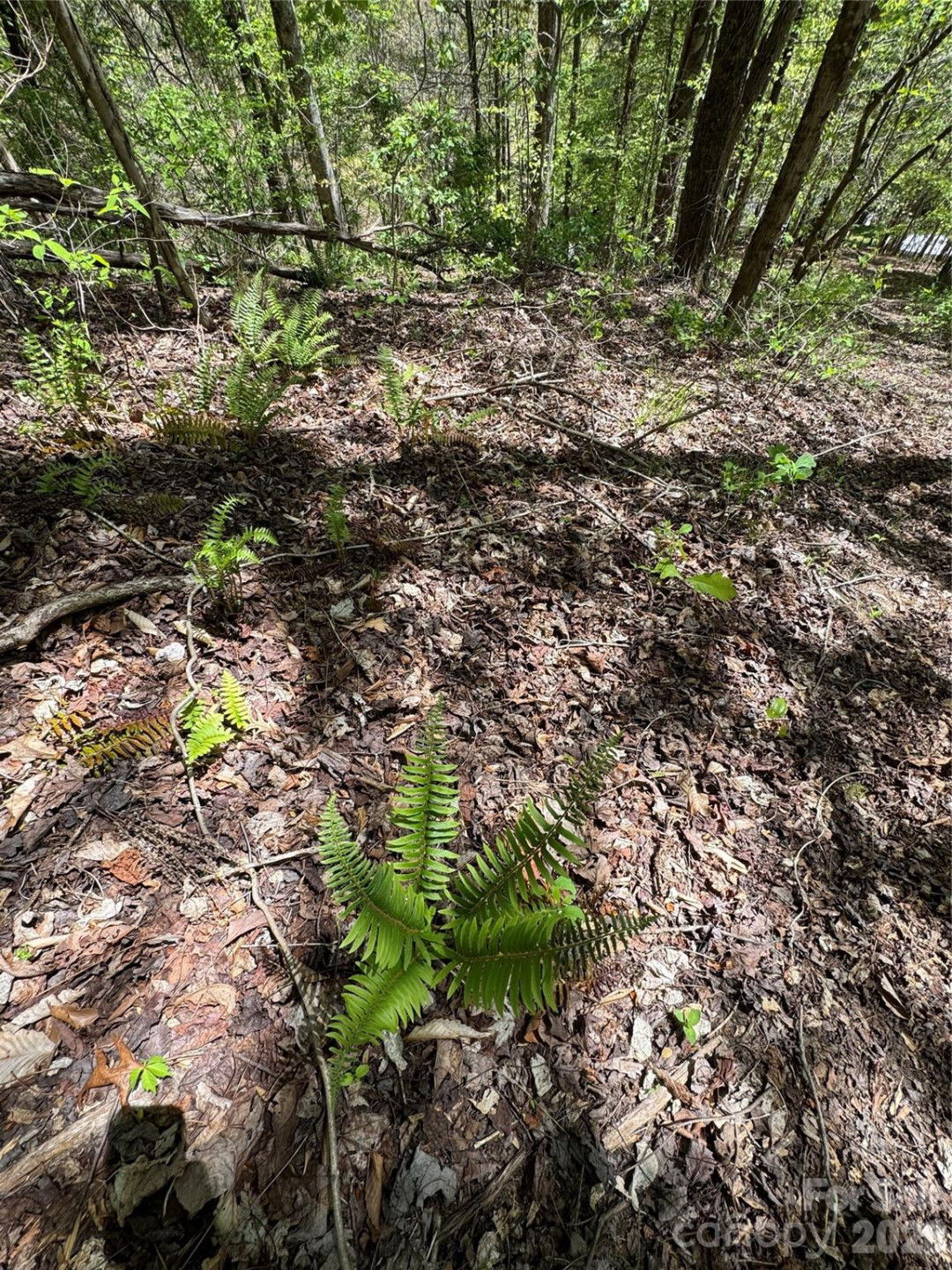 942 Fisher Branch Road - Photo 29