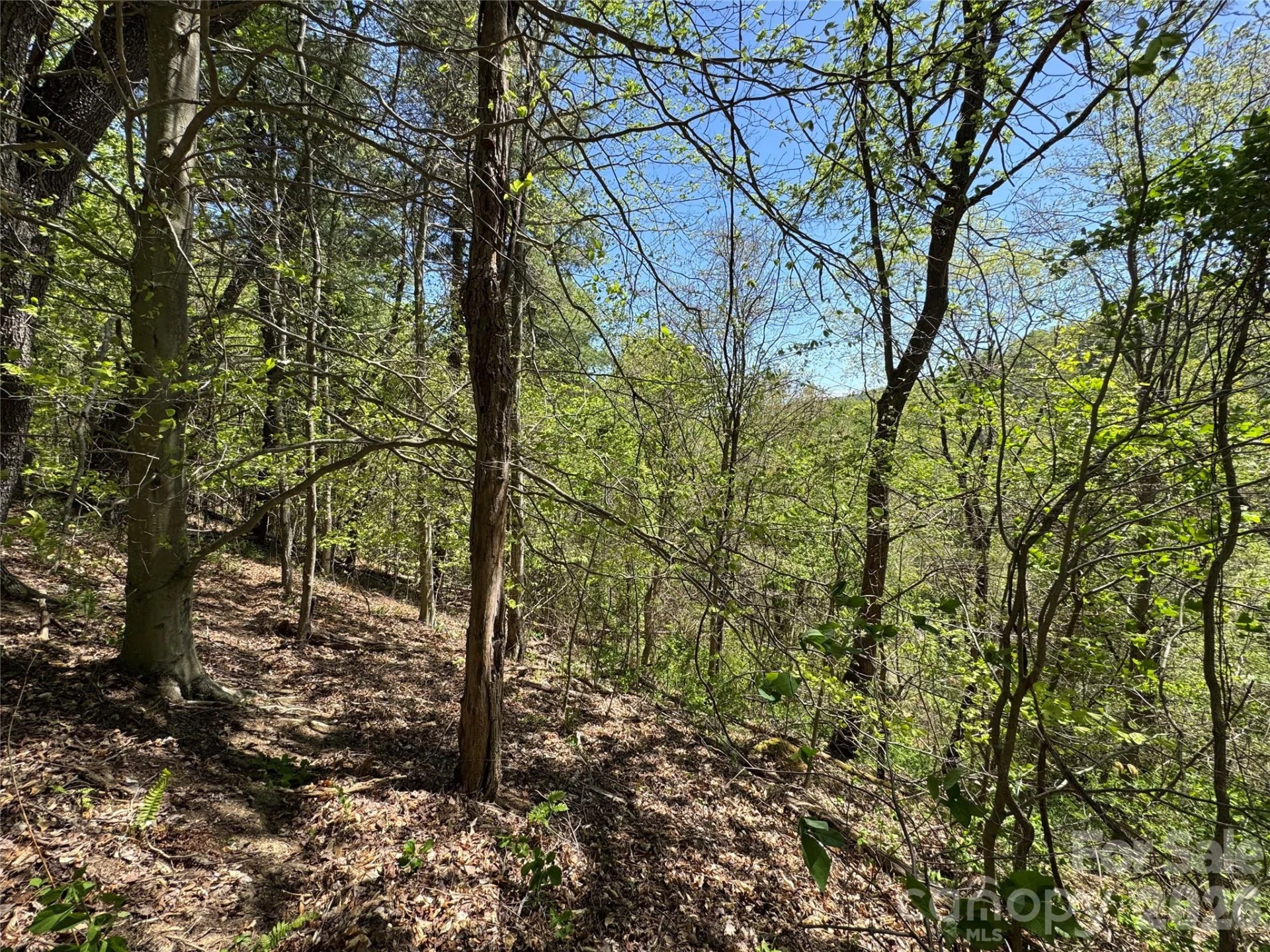 942 Fisher Branch Road - Photo 31