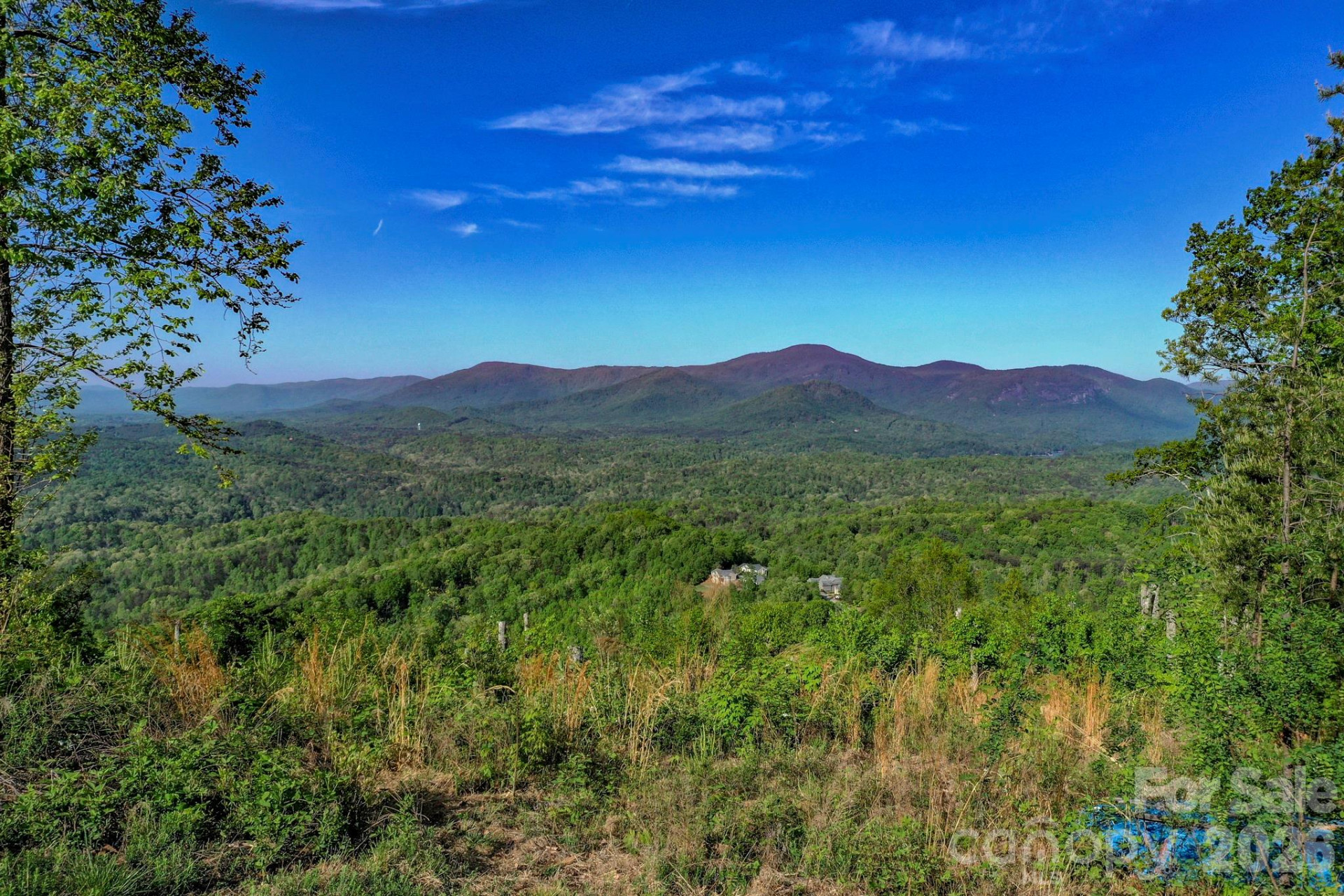 0 Golden Drive - Photo 11