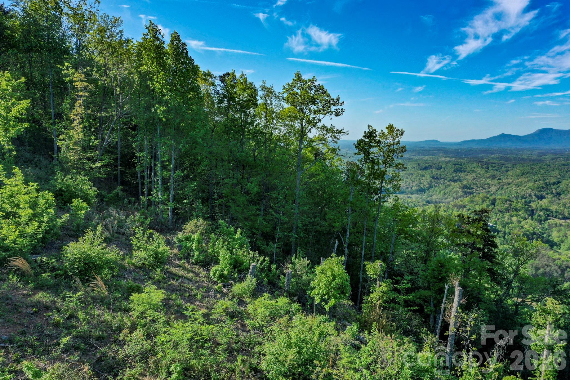 0 Golden Drive - Photo 4