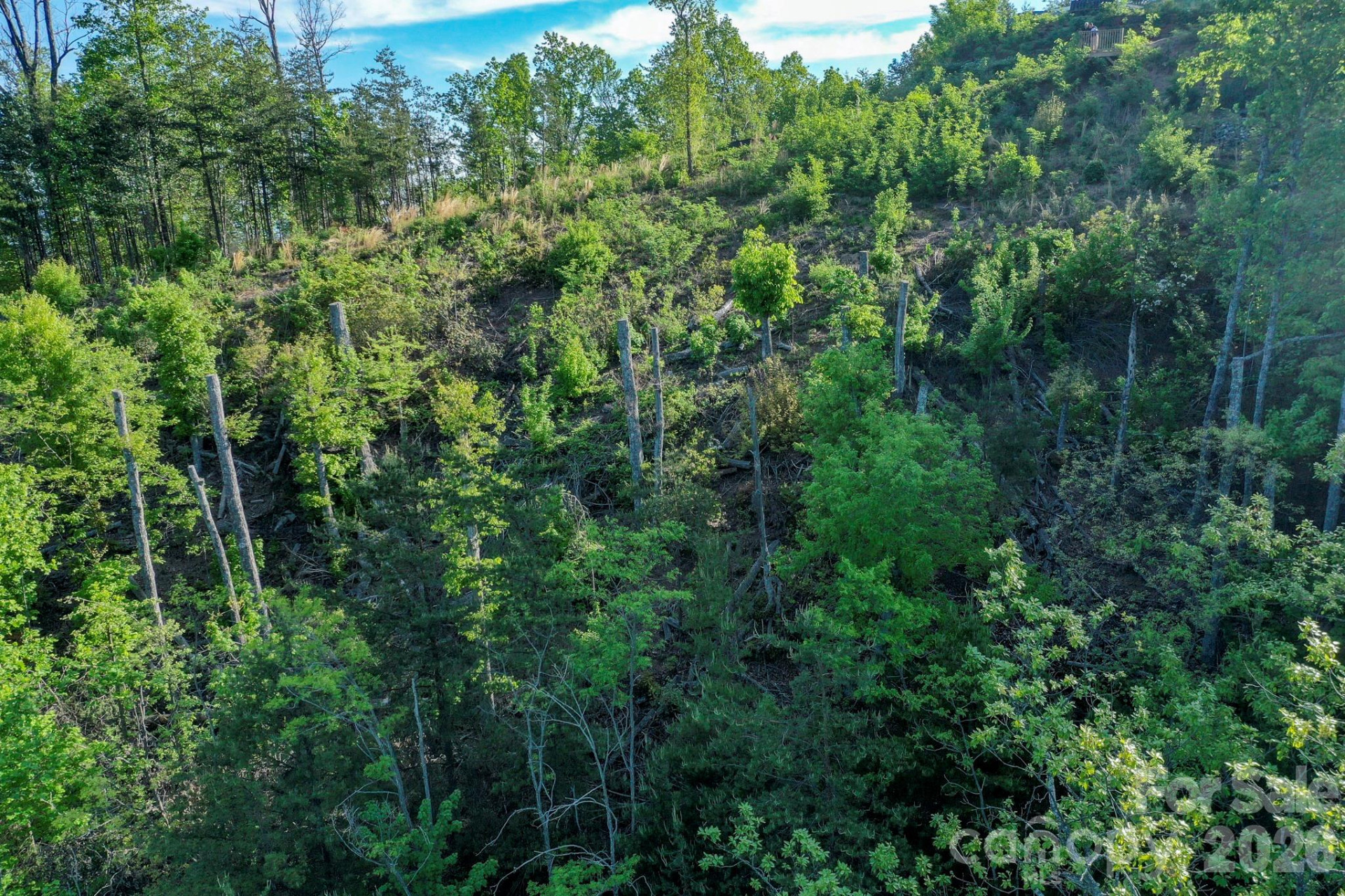 0 Golden Drive - Photo 5