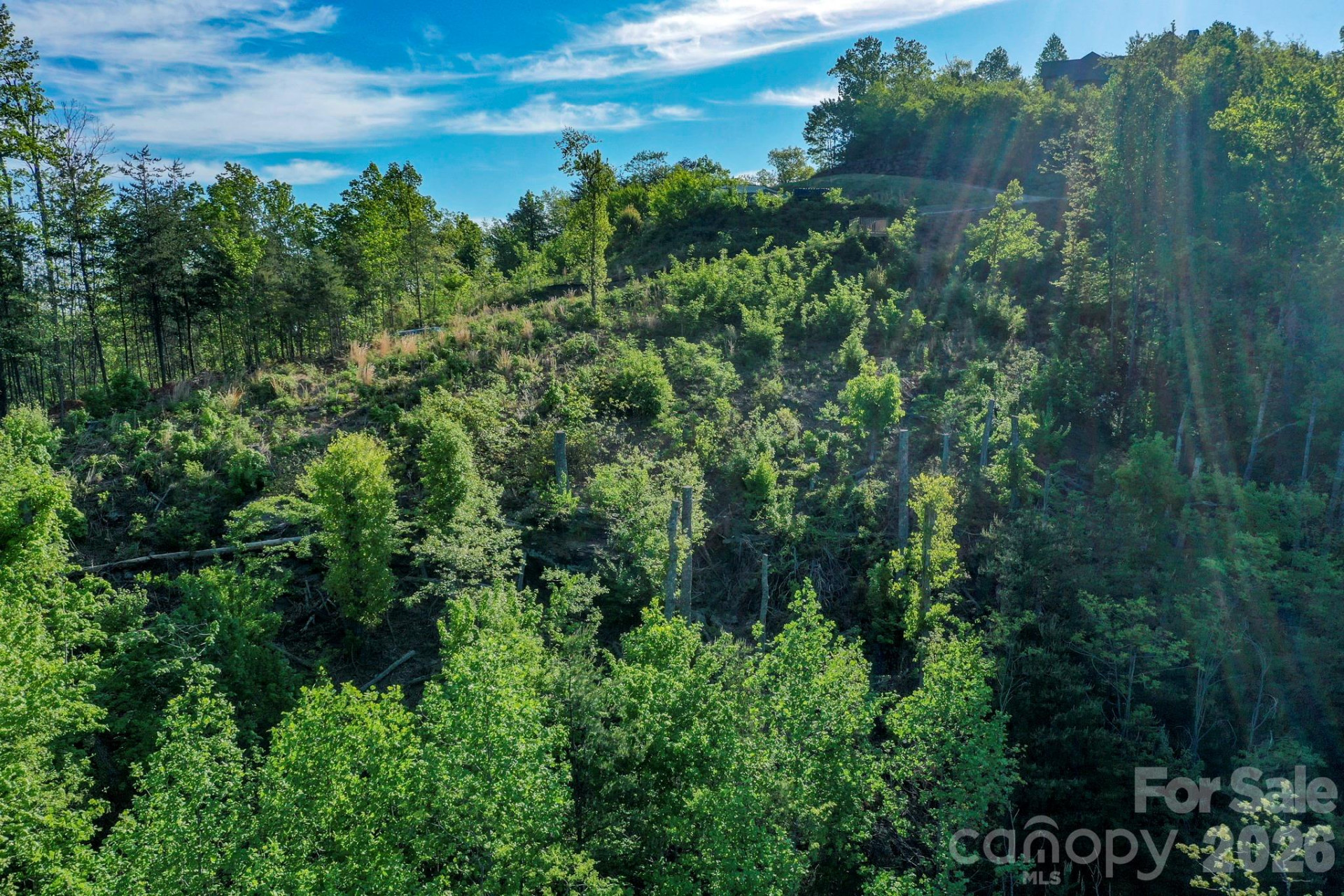 0 Golden Drive - Photo 6