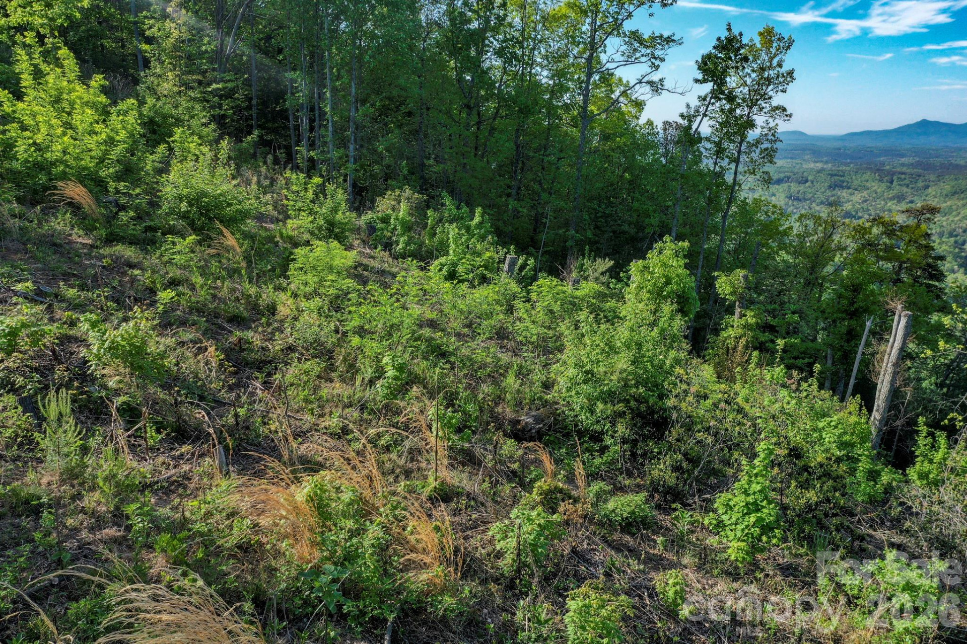 0 Golden Drive - Photo 9