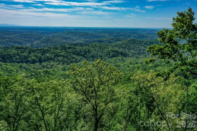0 Bills Mountain Trail, Lake Lure, NC, 28746