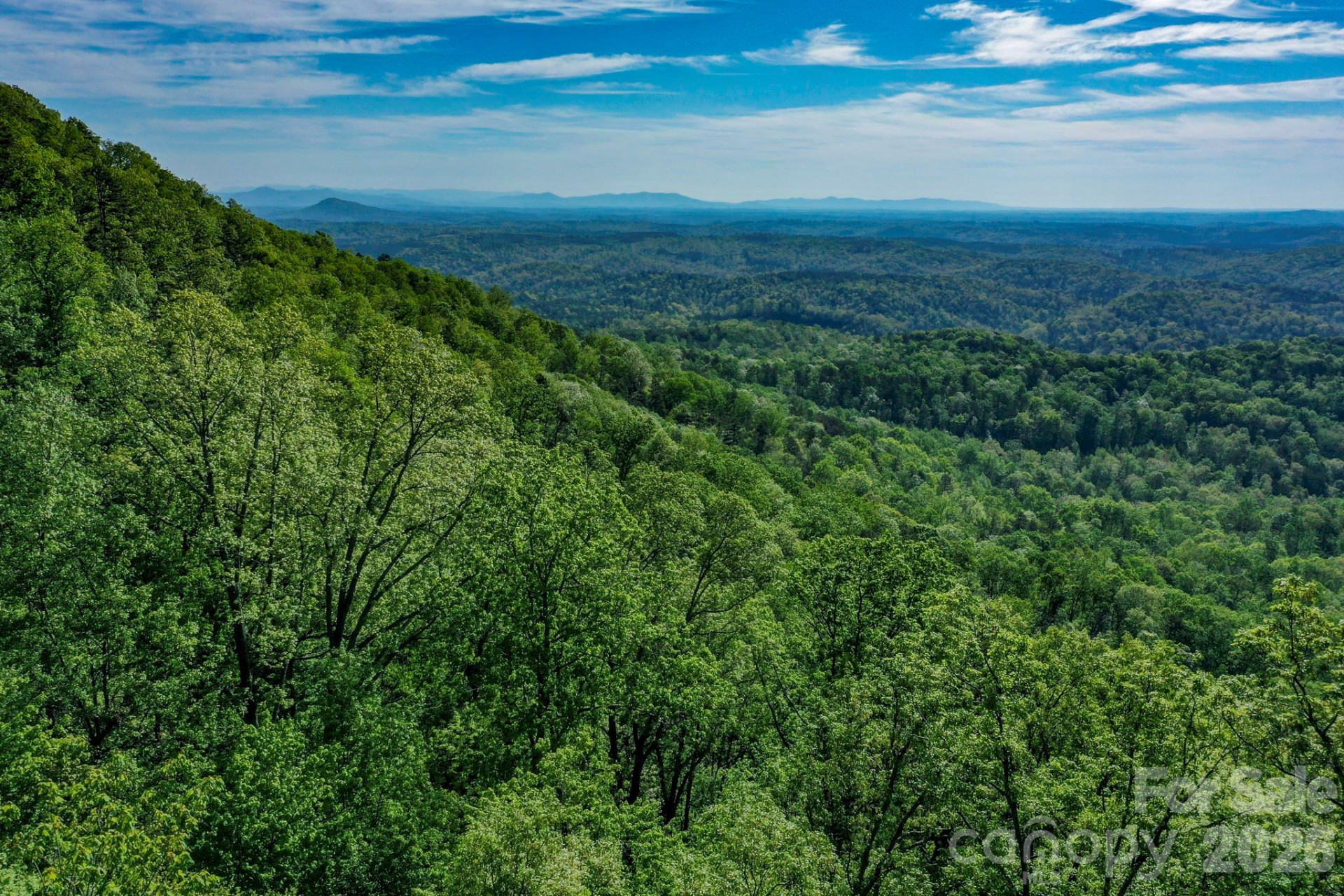 0 Bills Mountain Trail - Photo 2