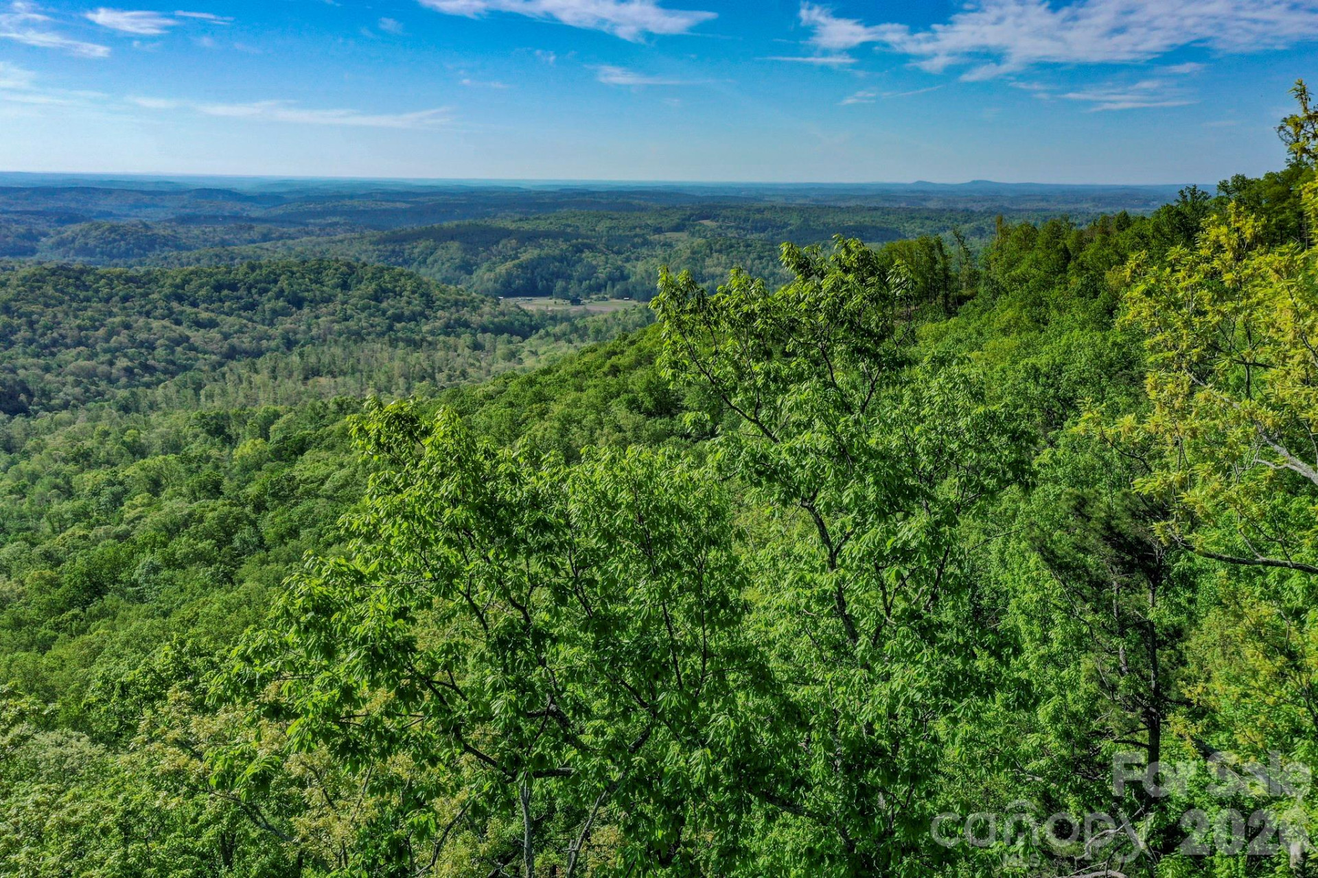 0 Bills Mountain Trail - Photo 3