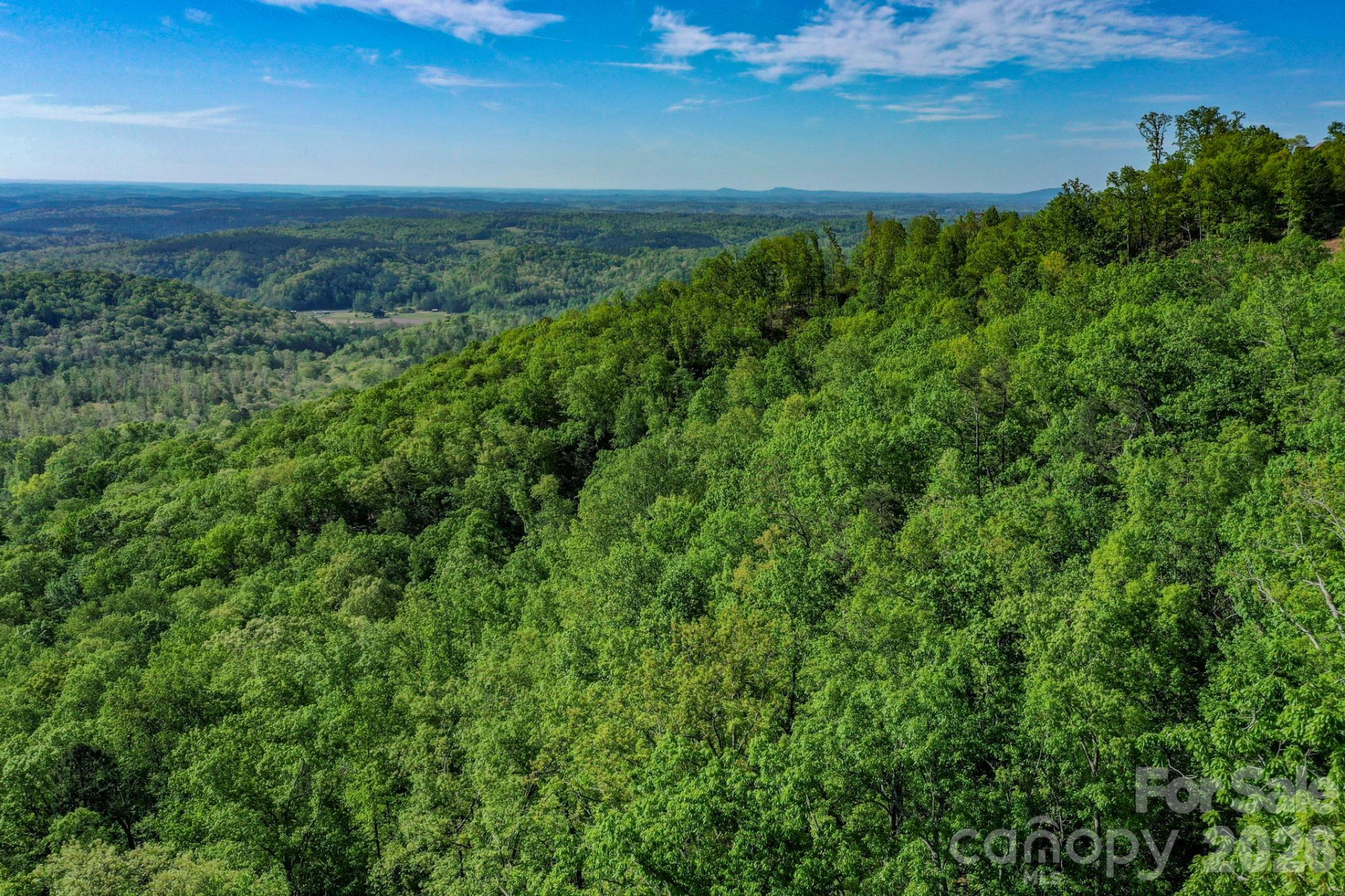 0 Bills Mountain Trail - Photo 4