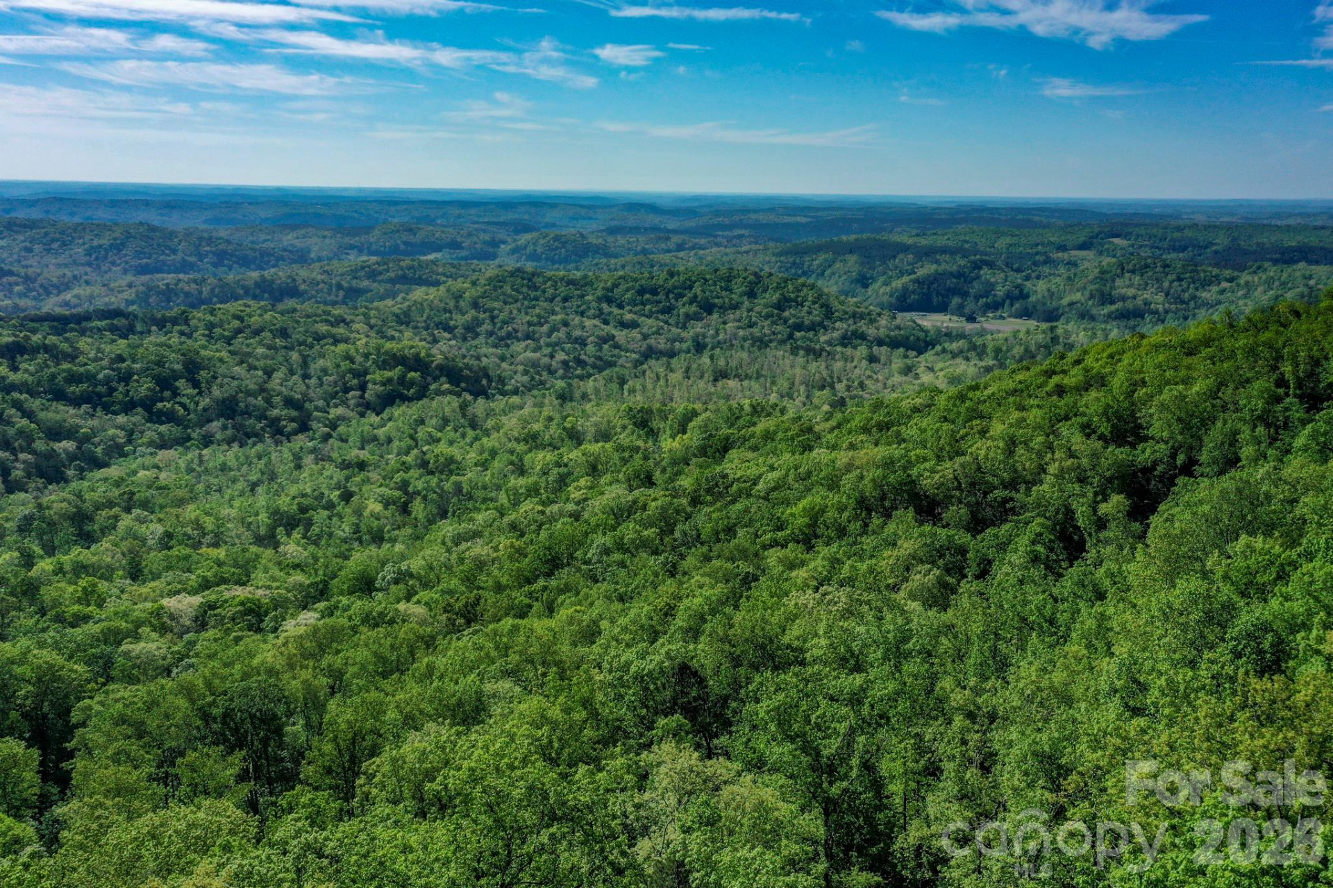 0 Bills Mountain Trail - Photo 5