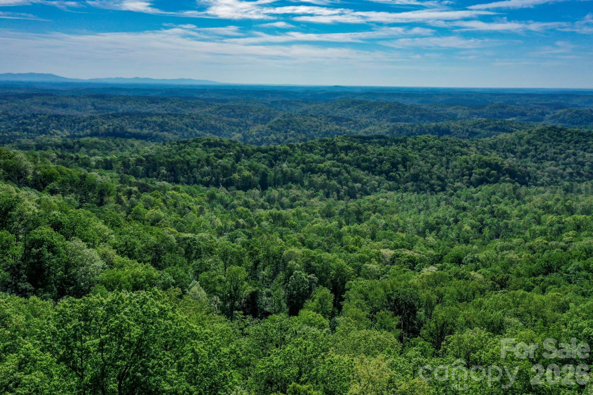 0 Bills Mountain Trail - Photo 6