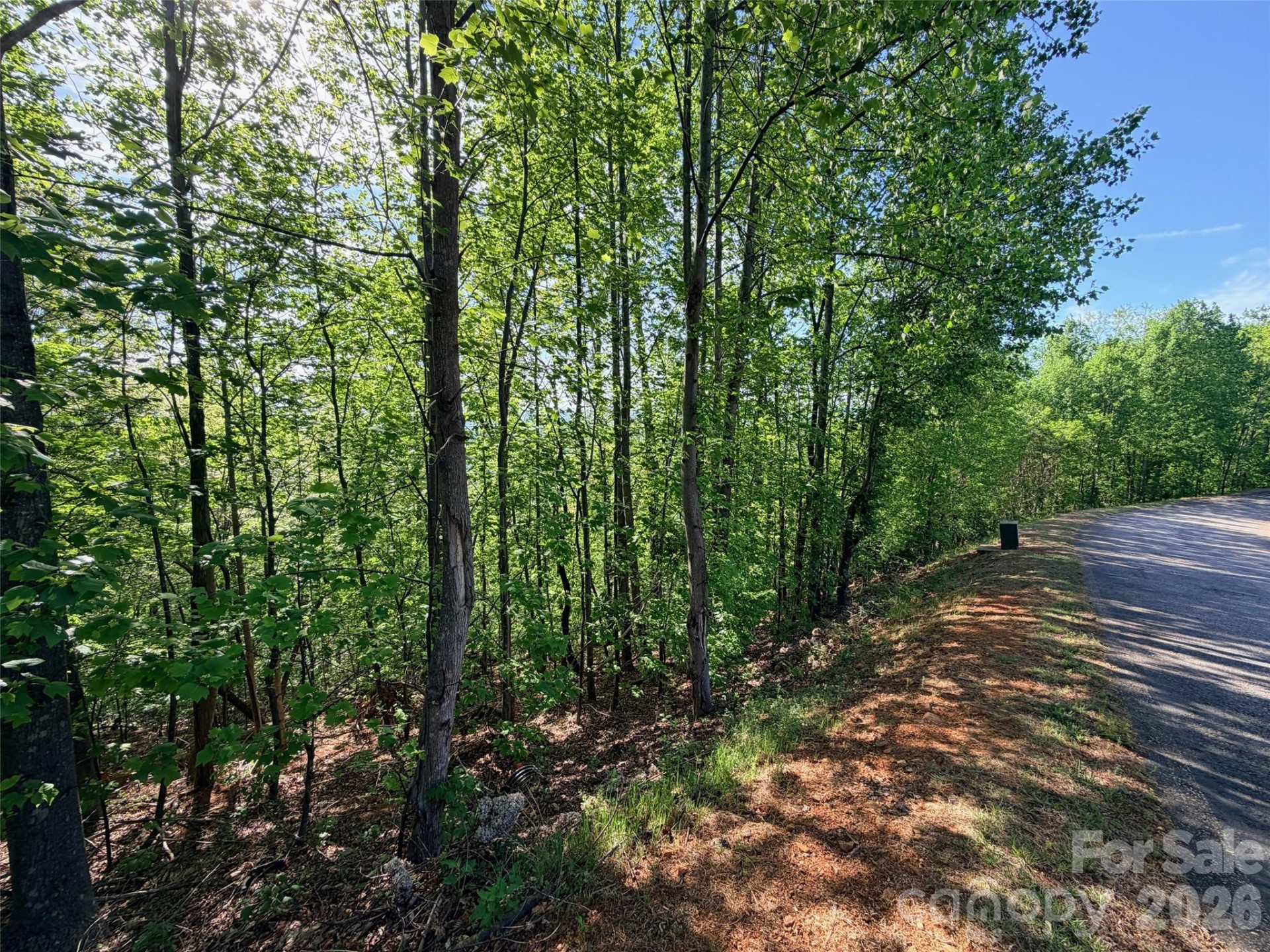 0 Bills Mountain Trail - Photo 7