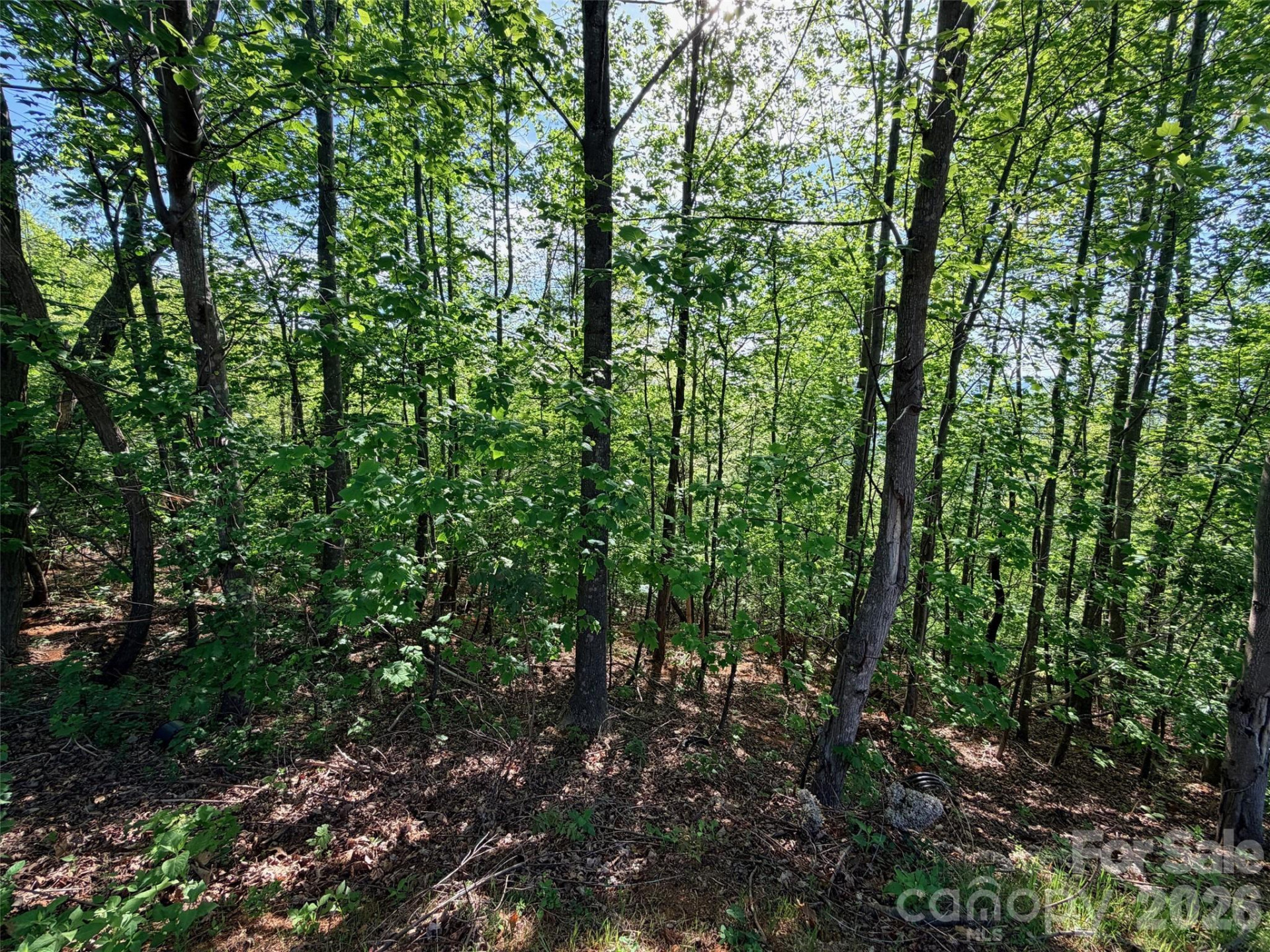 0 Bills Mountain Trail - Photo 8