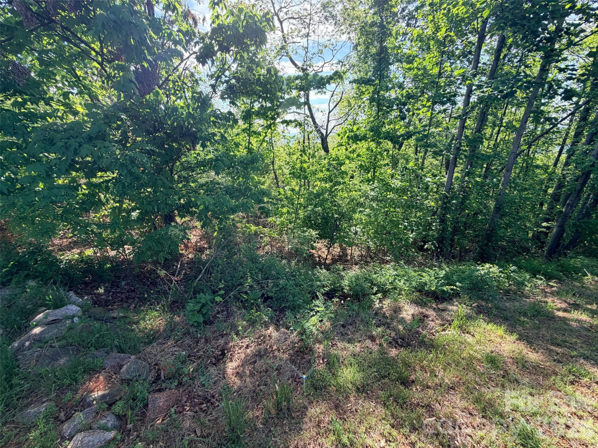 0 Bills Mountain Trail - Photo 9