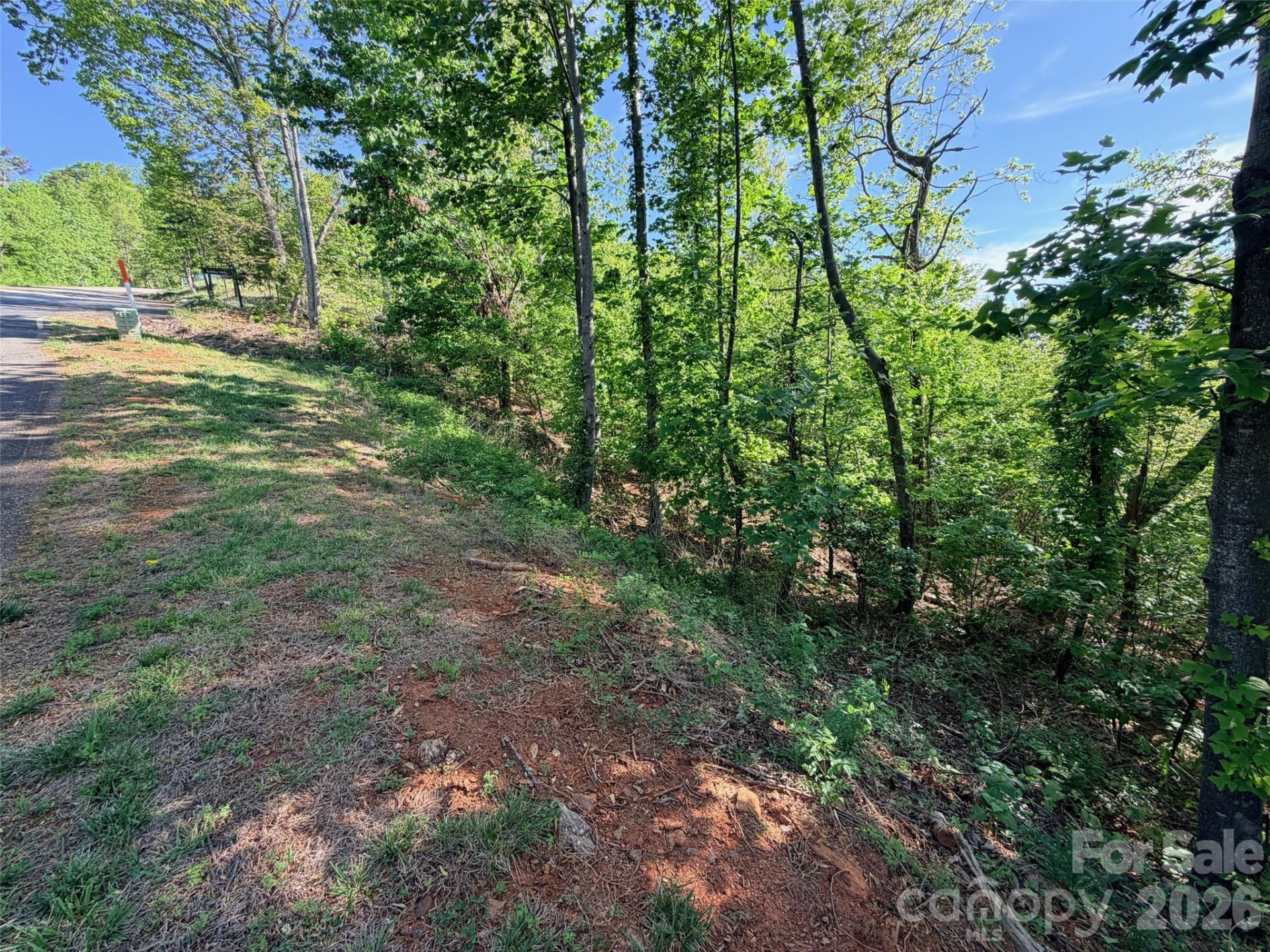 0 Bills Mountain Trail - Photo 10