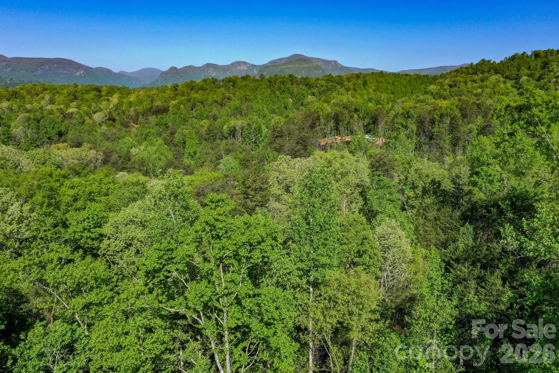0 Willow Top Lane - Photo 2