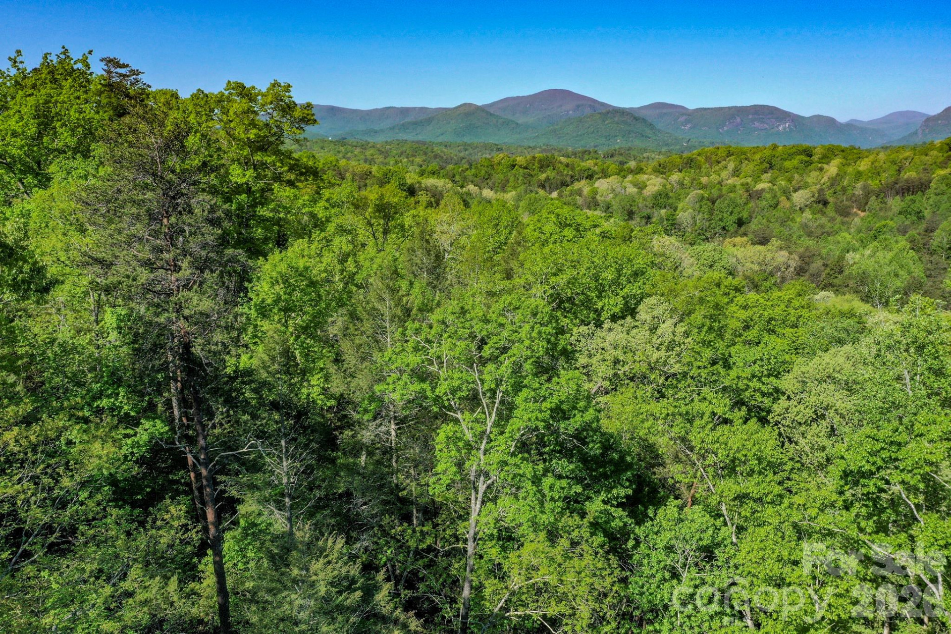 0 Willow Top Lane - Photo 3