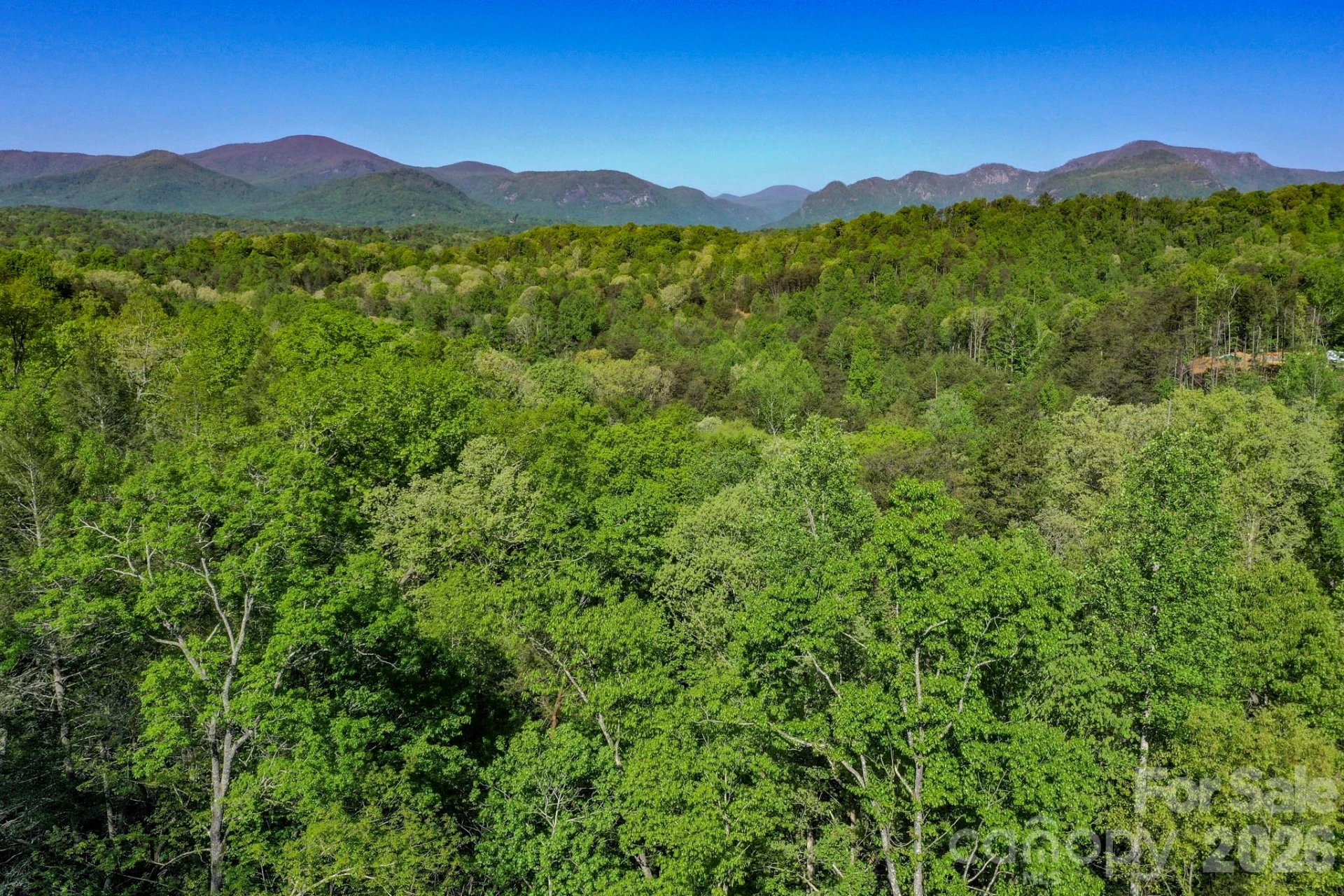 0 Willow Top Lane - Photo 4
