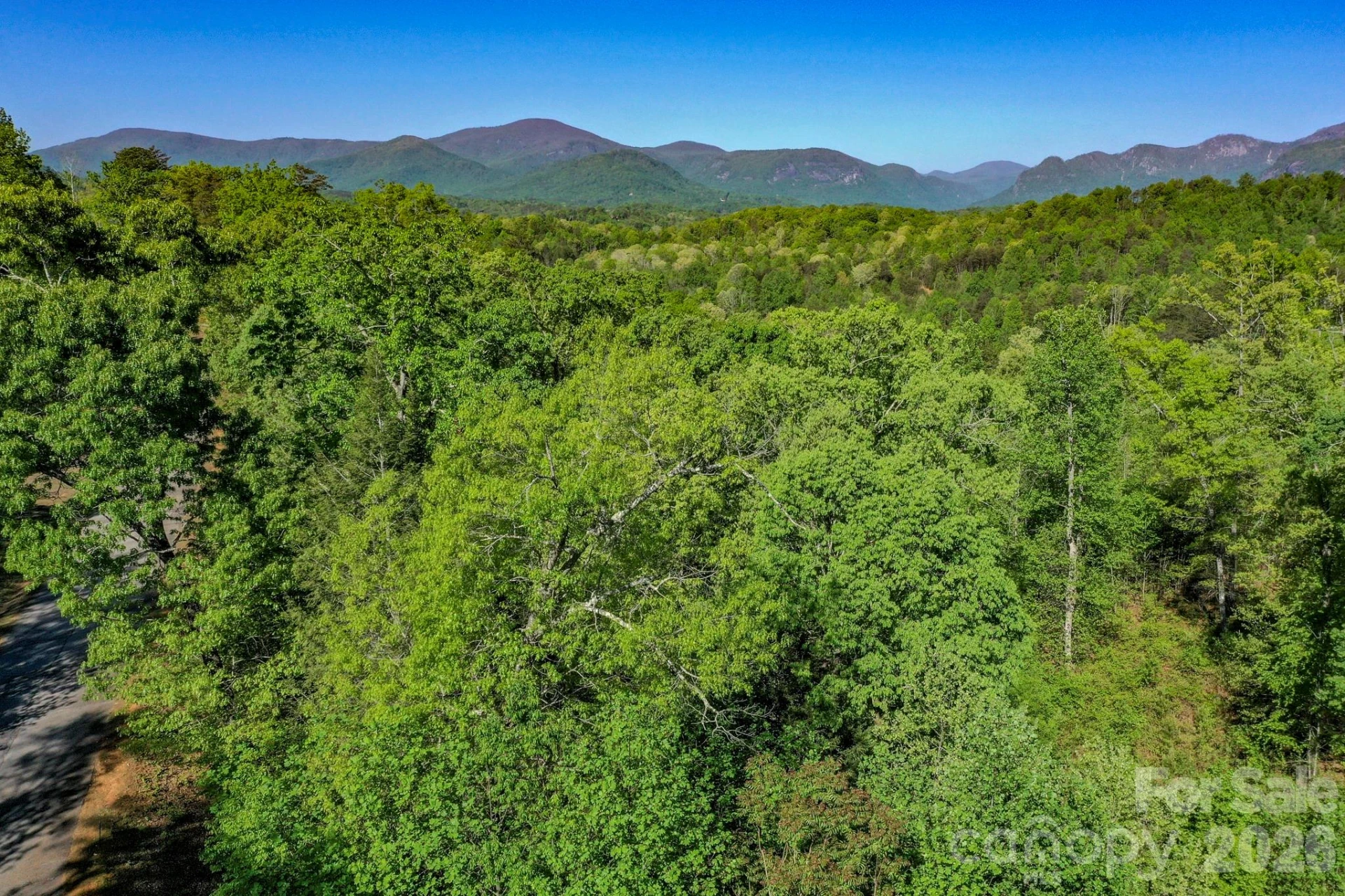 0 Willow Top Lane - Photo 5
