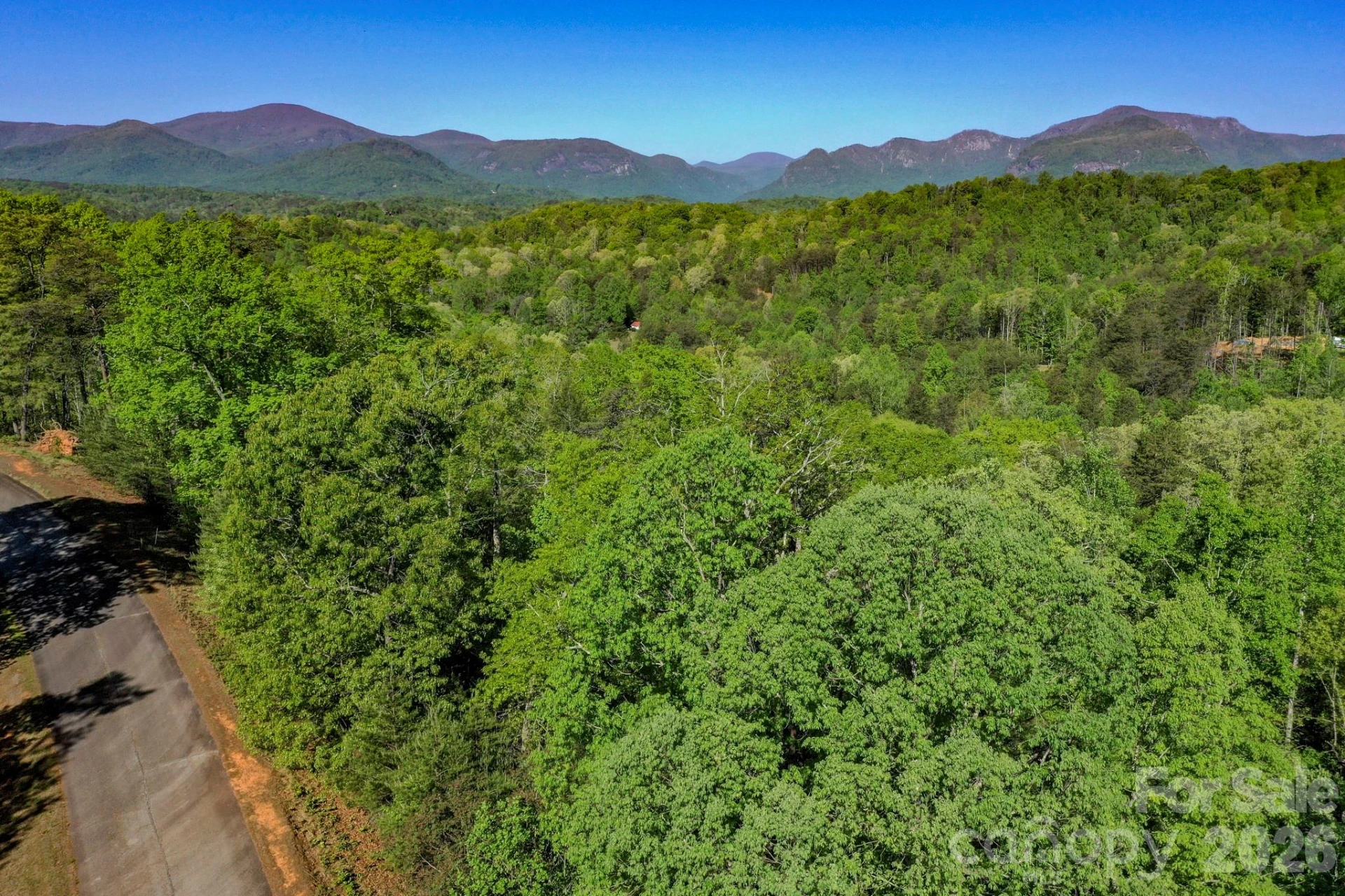 0 Willow Top Lane - Photo 6
