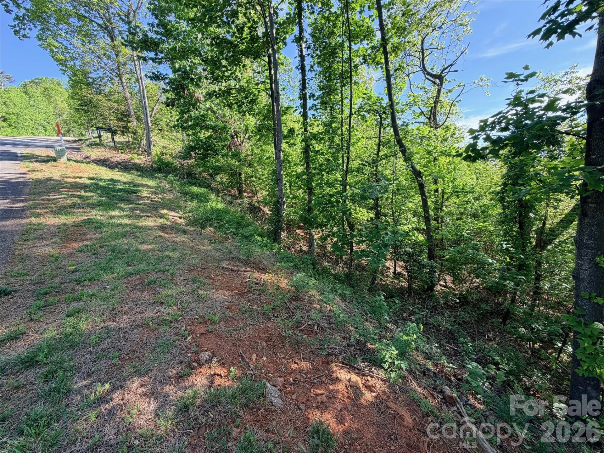 0 Willow Top Lane - Photo 7