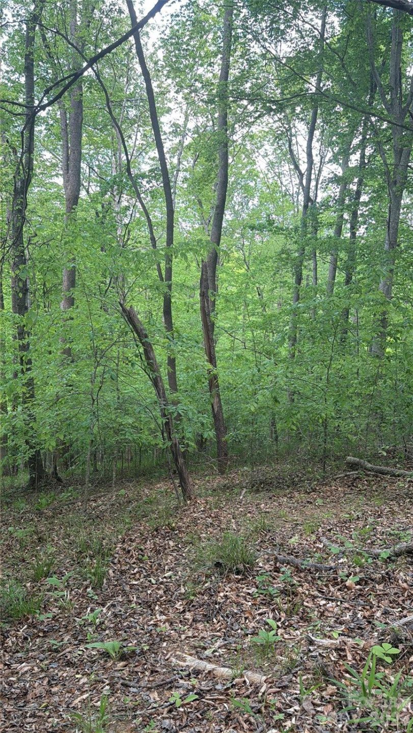 0 Overstone Drive #284 - Photo 2