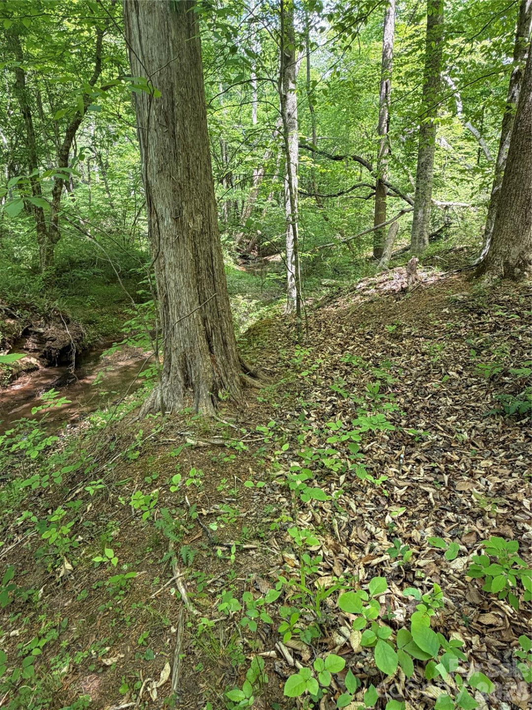 0 Overstone Drive #284 - Photo 11